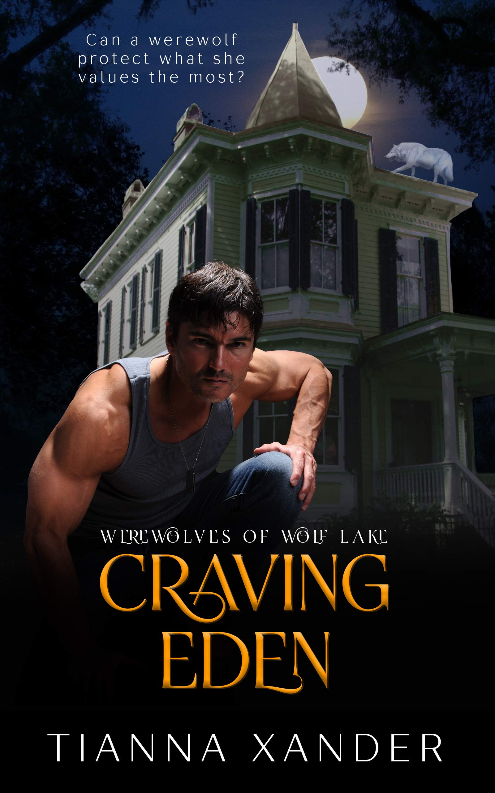 Shifters of Wolf Lake book cover 1