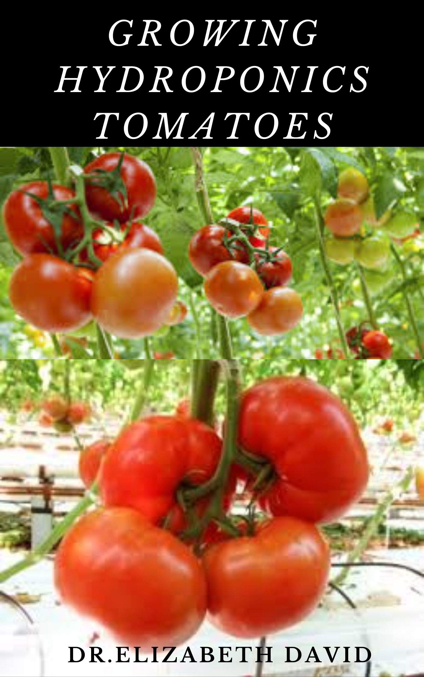 GROWING HYDROPONICS TOMATOES Easy Step by Step Guide To Growing