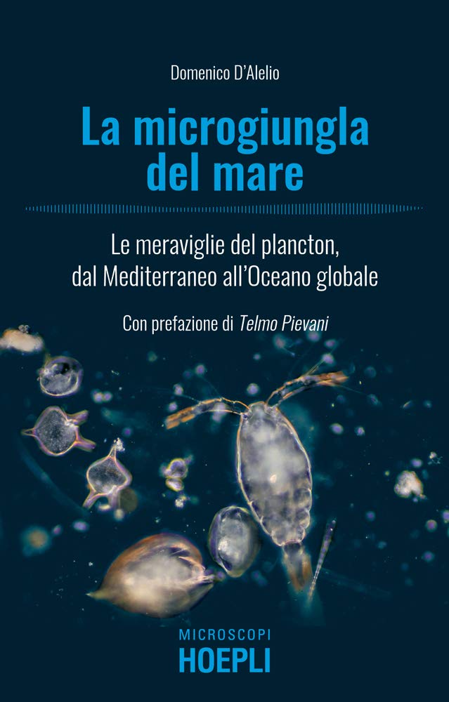 La microgiungla del mare