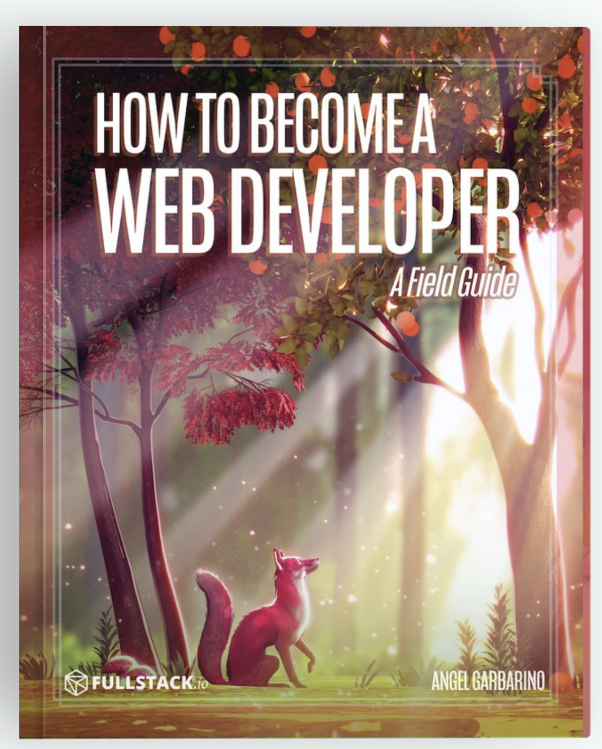 How to Become a Web Developer: A Field Guide by Angel Garbarino | Goodreads