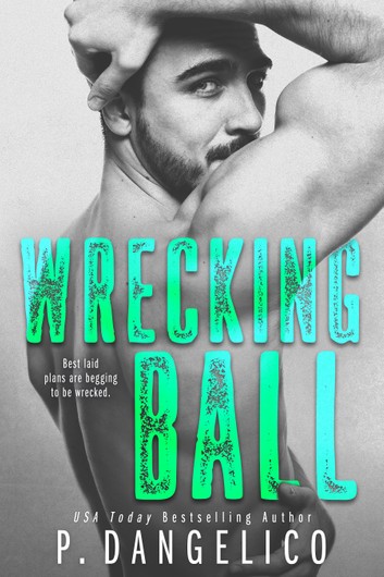 Wrecking Ball (Hard to Love, #1)
