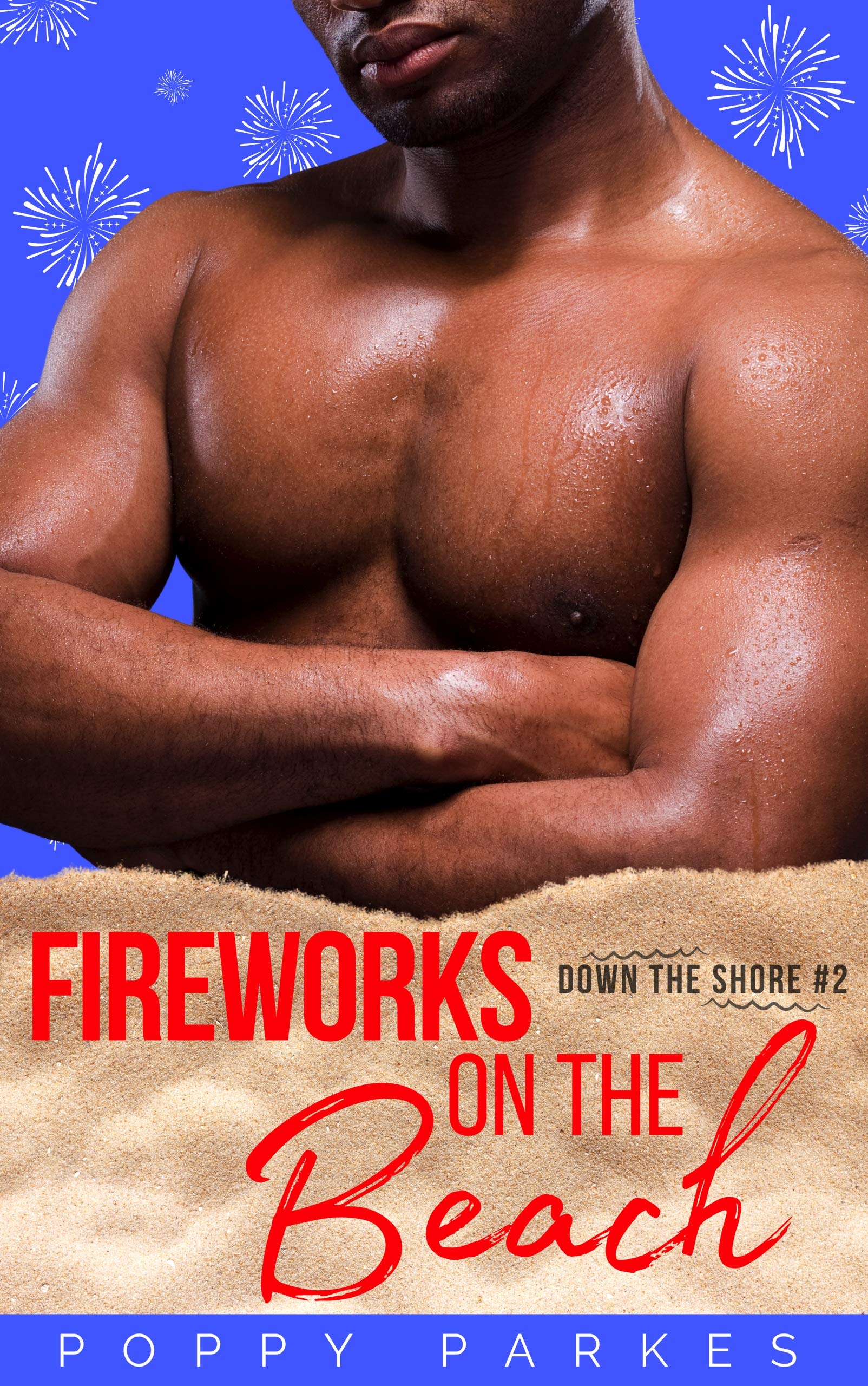 Fireworks on the Beach book cover