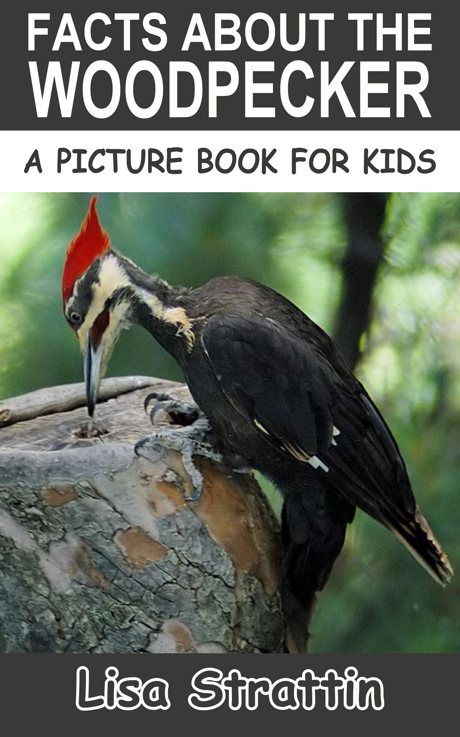 Facts About the Woodpecker