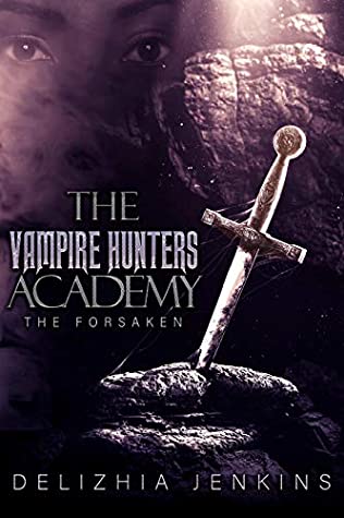 The Vampire Hunters Academy book cover