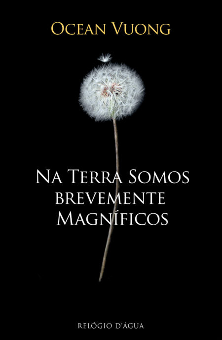 Na Terra Somos Brevemente Magníficos