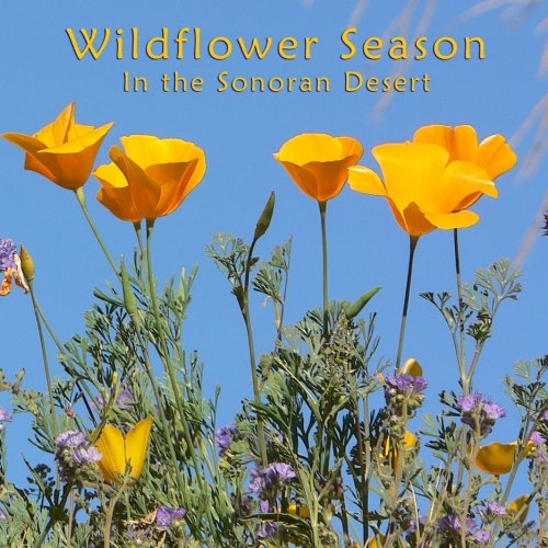 Wildflower Season In the Sonoran Desert by Heinz Kagerer Goodreads