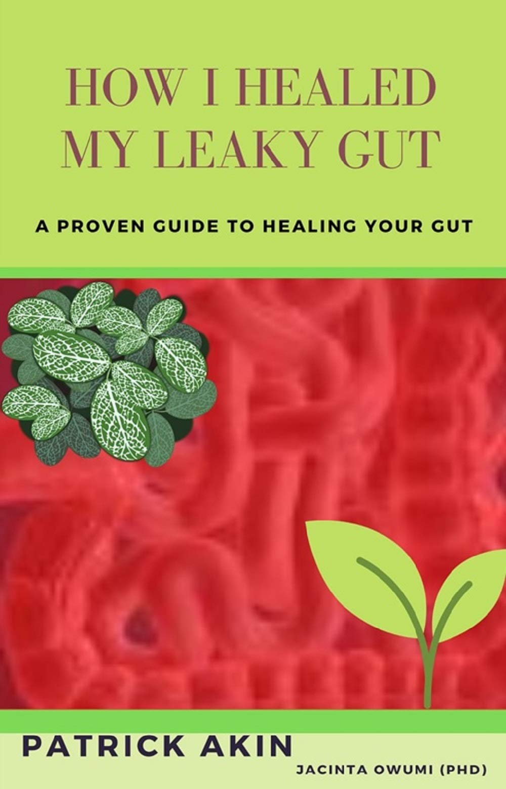 HOW I HEALED MY LEAKY GUT by PATRICK AKIN | Goodreads