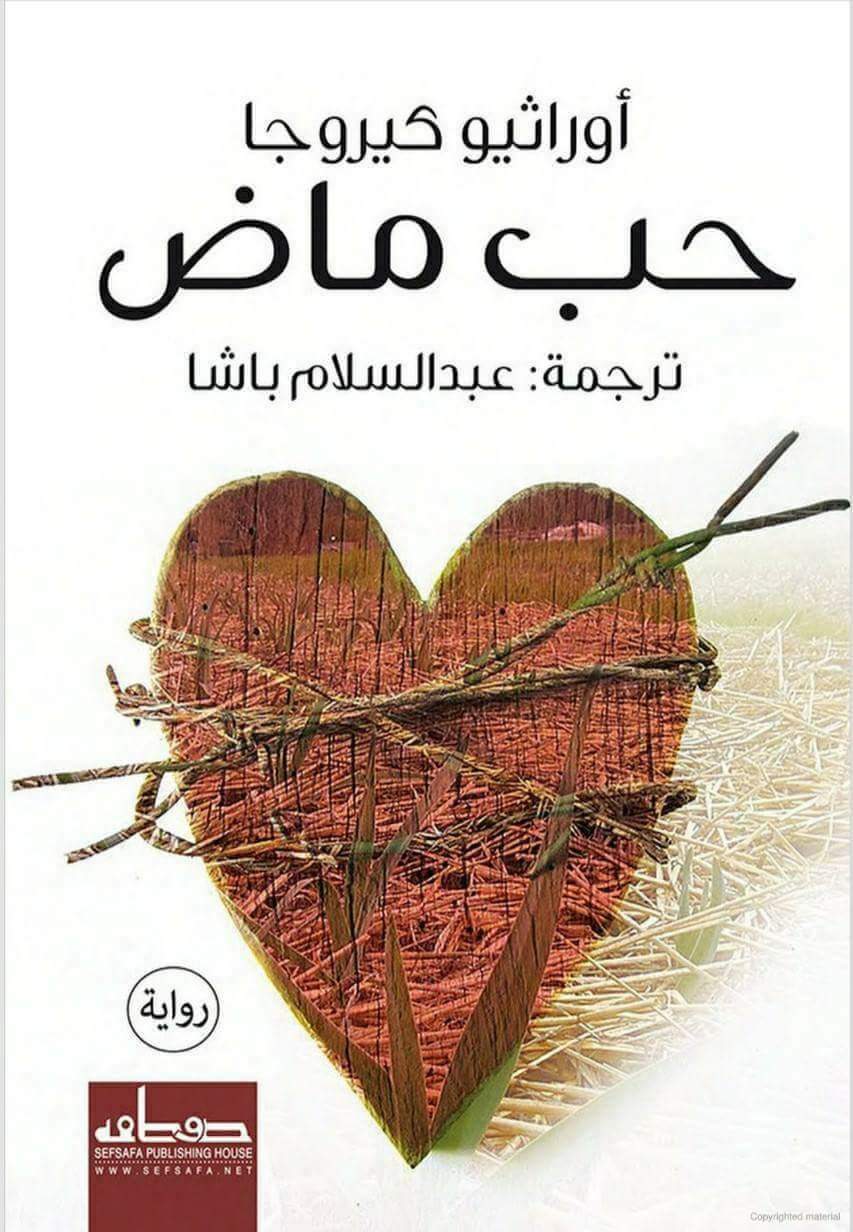 Pasado amor book cover