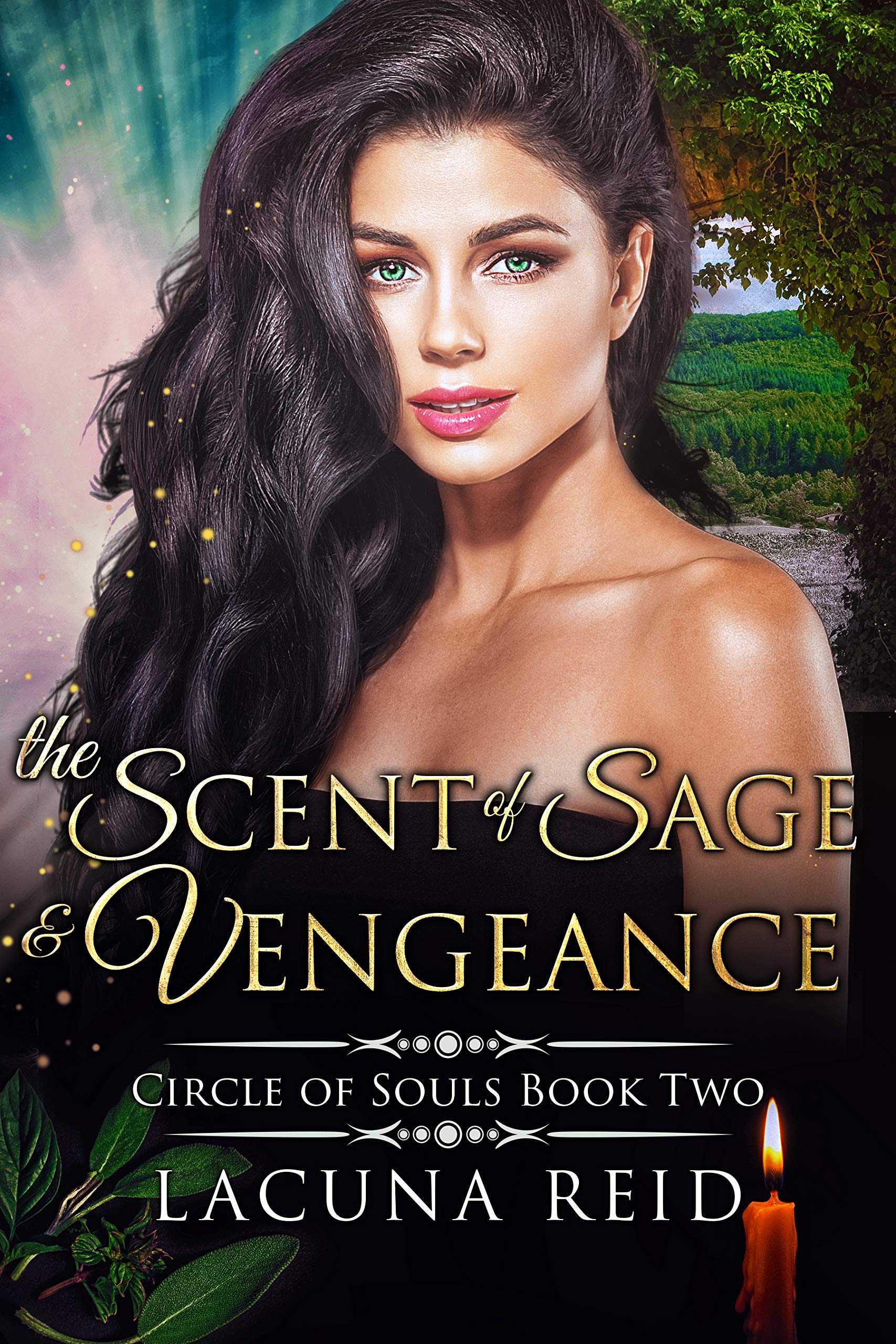Circle of Souls book cover 2