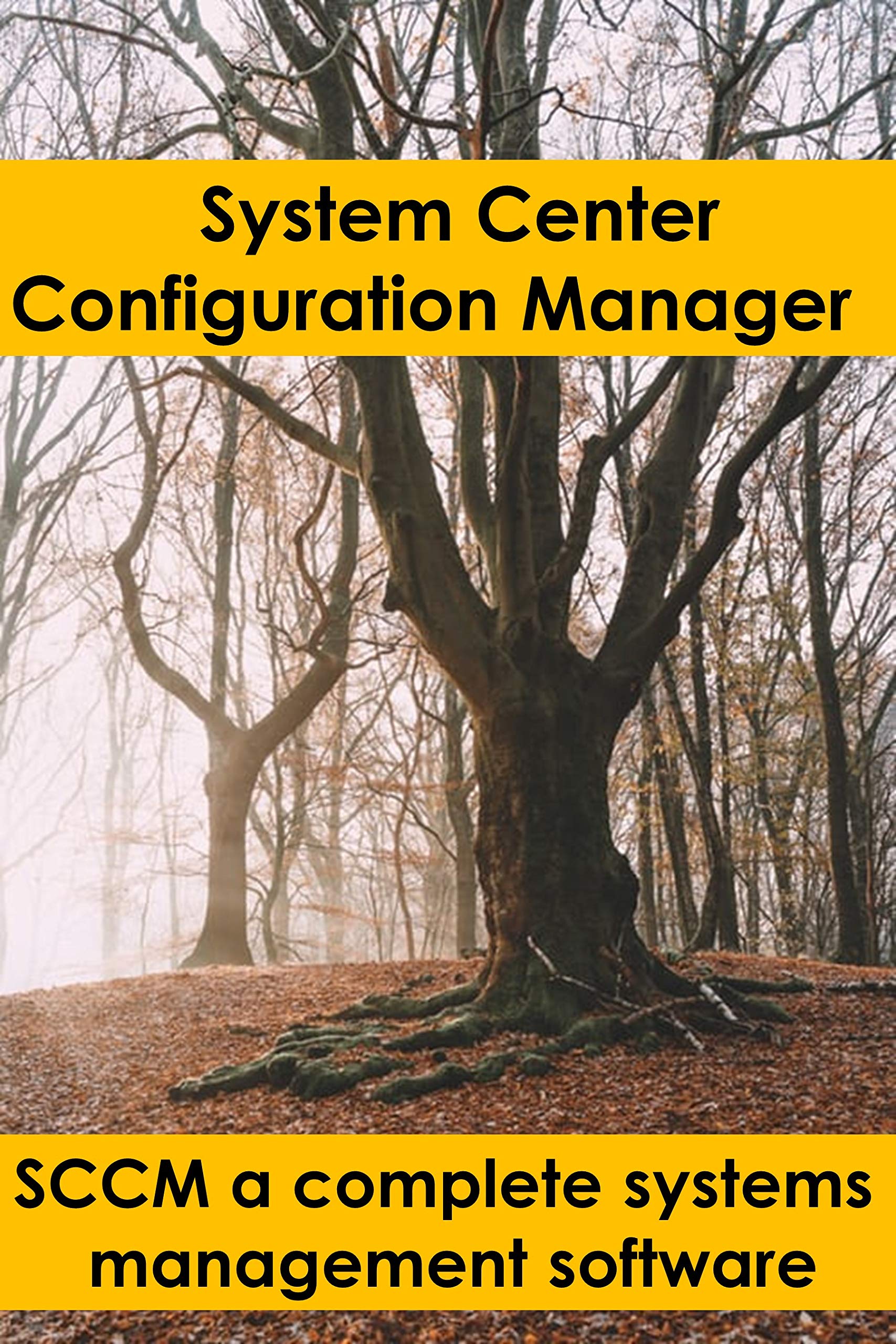 System Center Configuration Manager SCCM a complete systems management