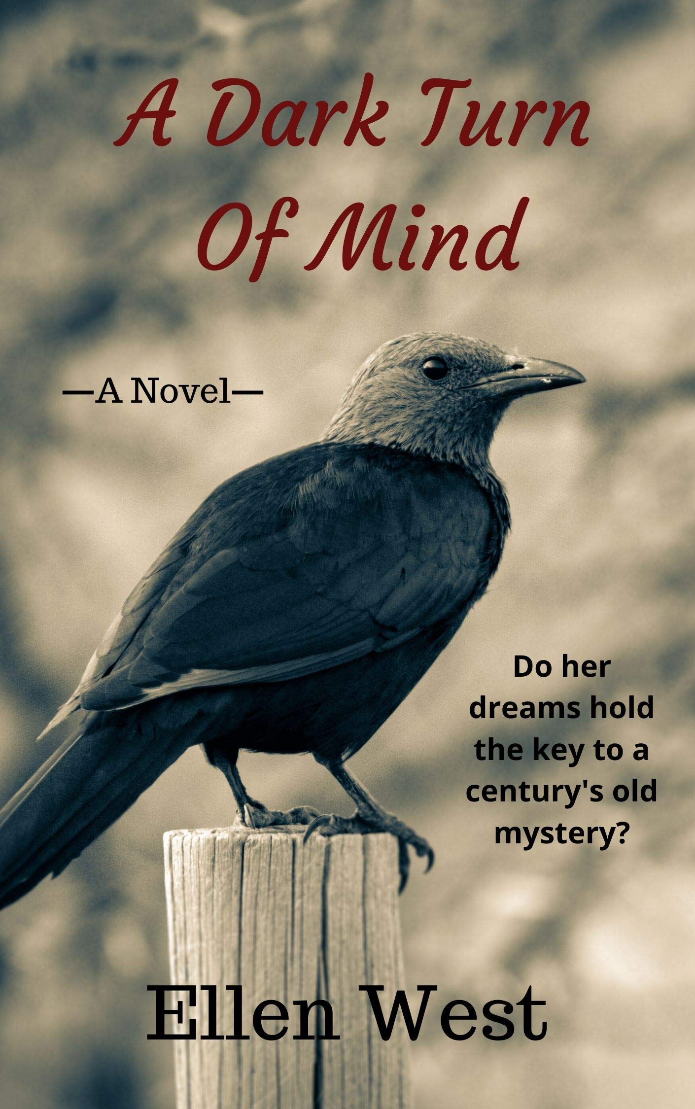 A Dark Turn Of Mind: A Sally Jane Riley Mystery by Ellen West | Goodreads