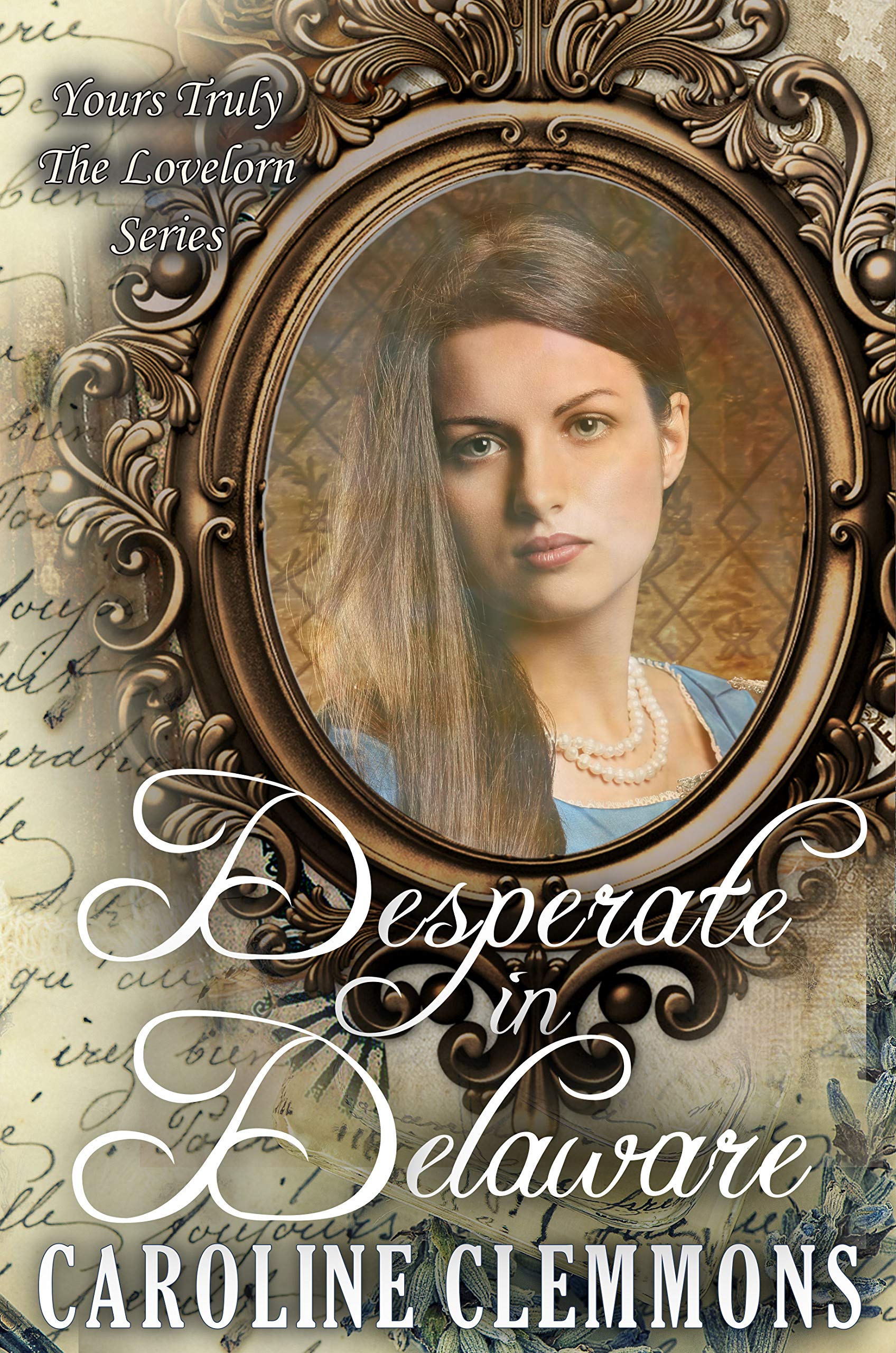 Desperate In Delaware book cover