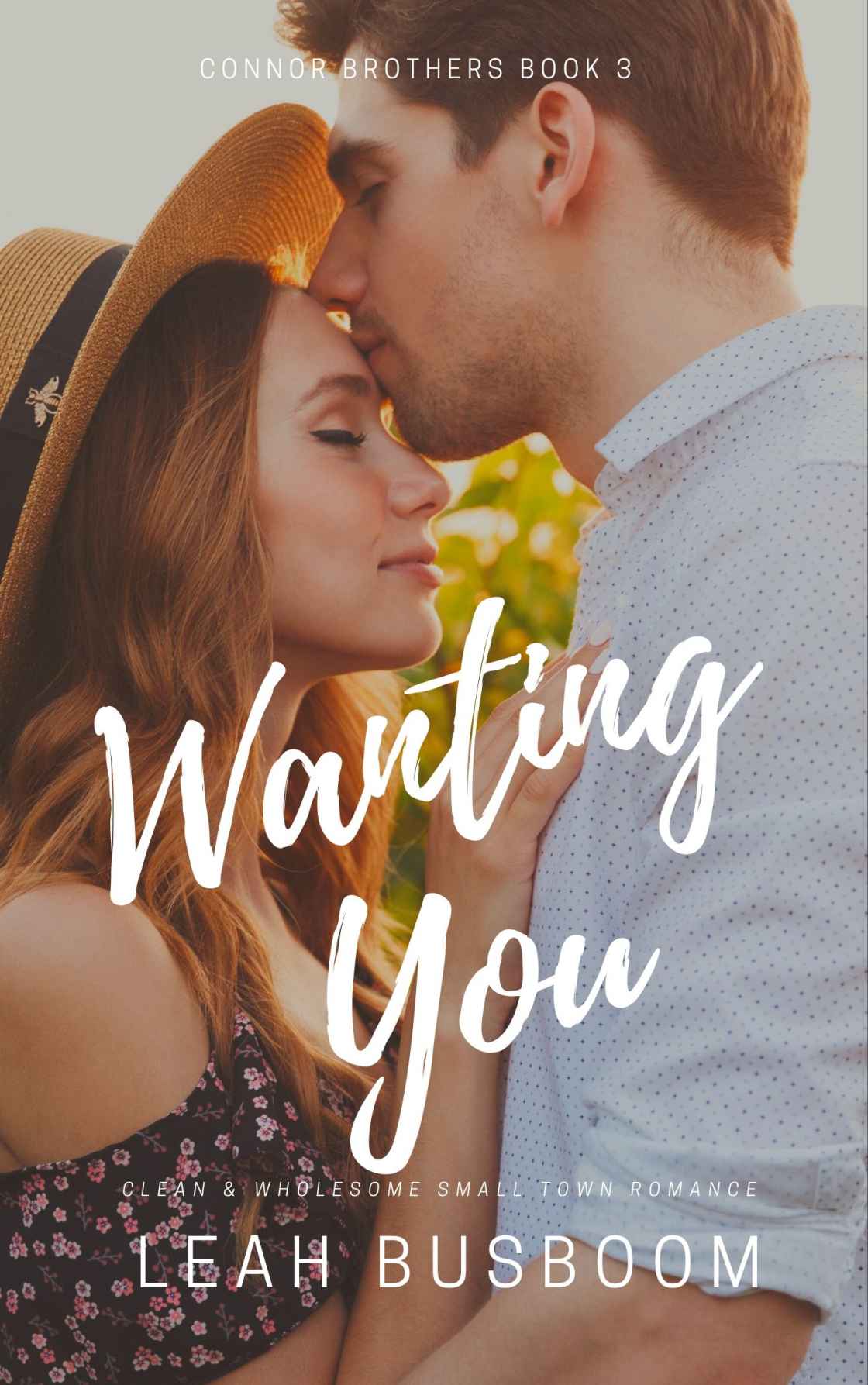 Wanting You book cover