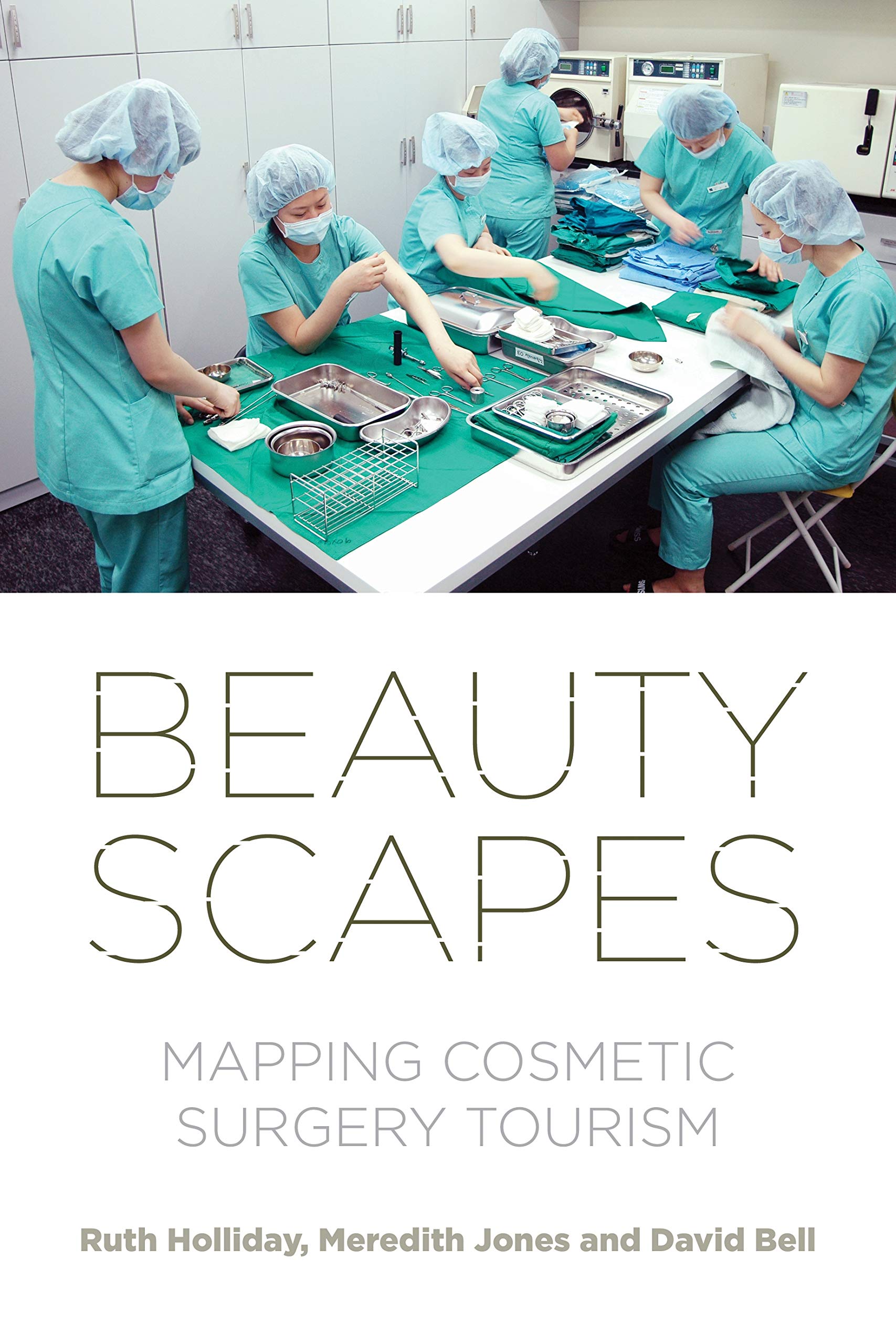 Beautyscapes book cover