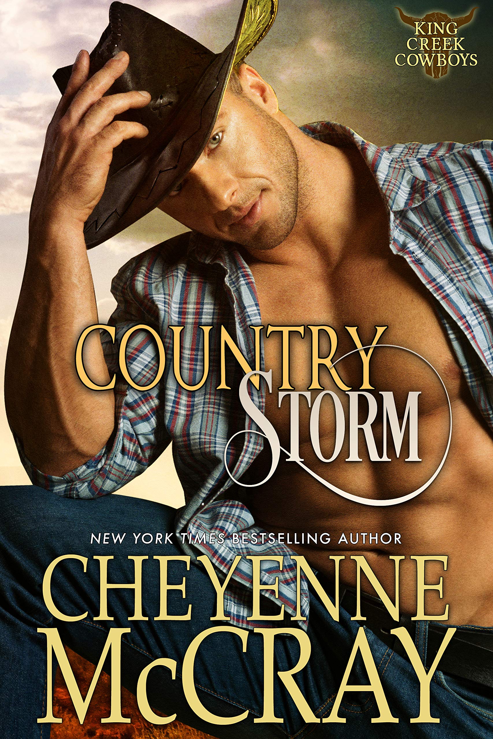 Country Storm book cover