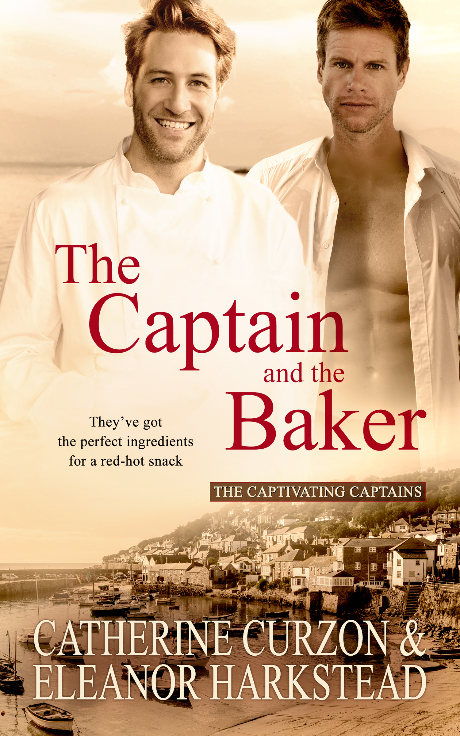 The Captain and the Baker book cover