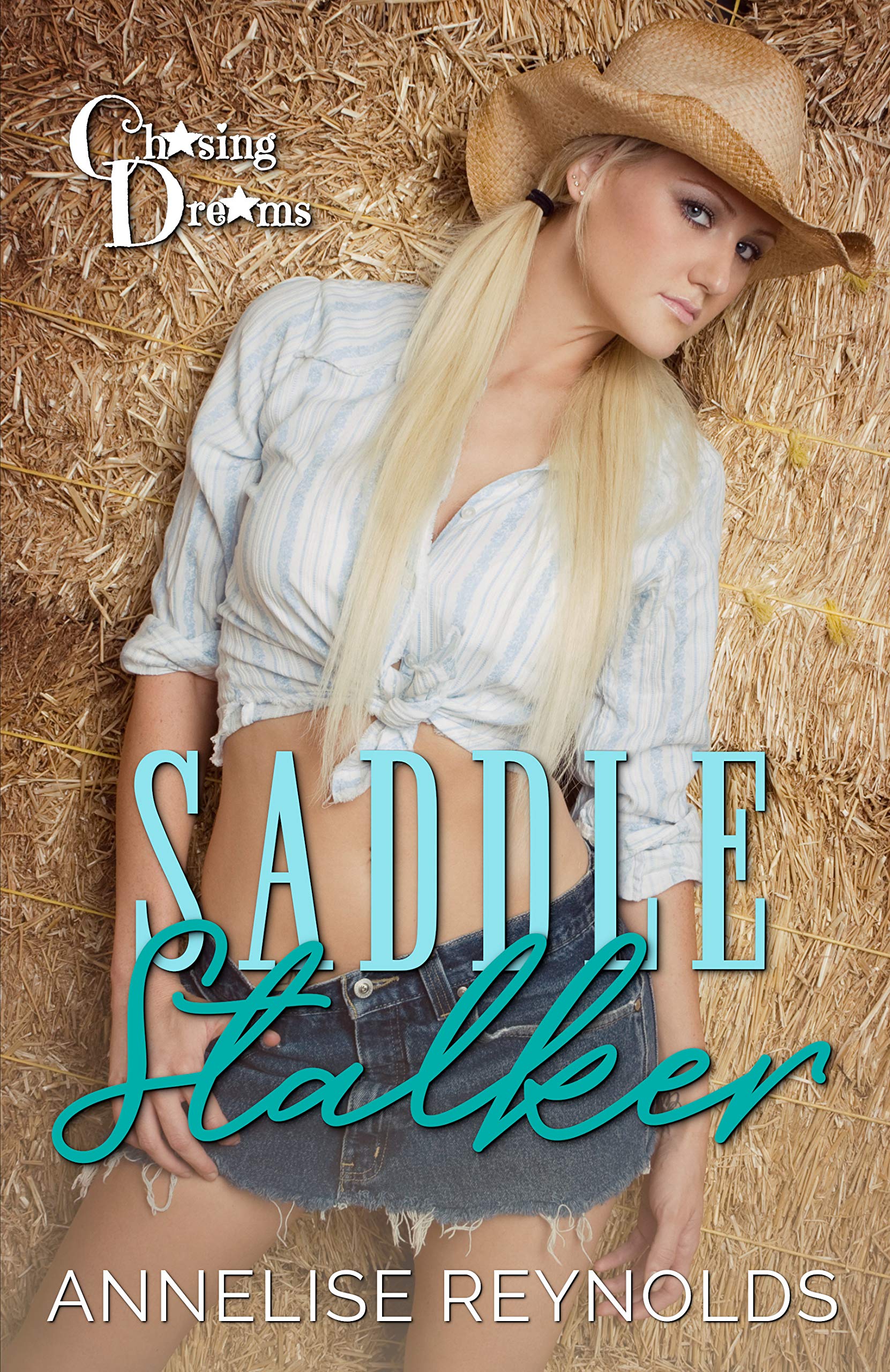 Saddle Stalker book cover
