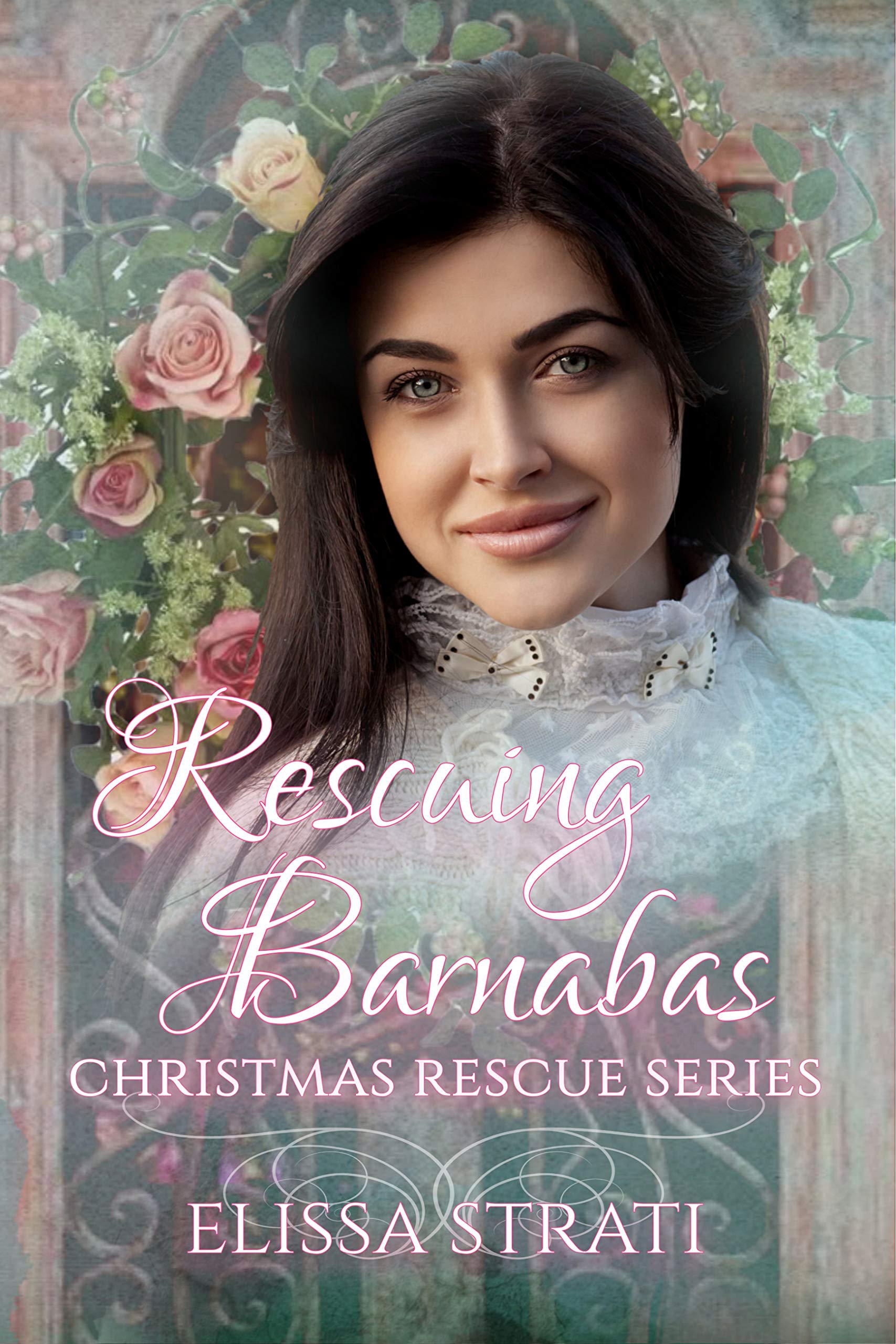 Rescuing Barnabas book cover