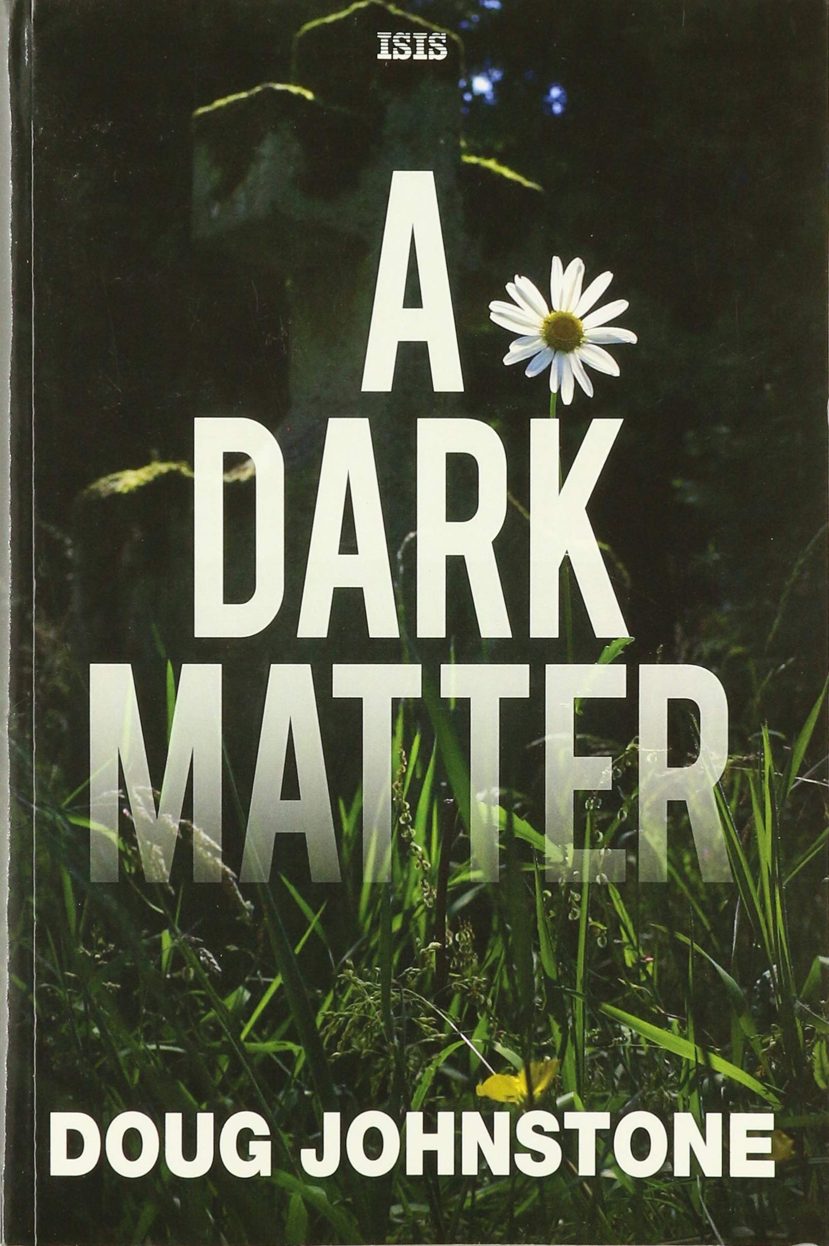 A Dark Matter
