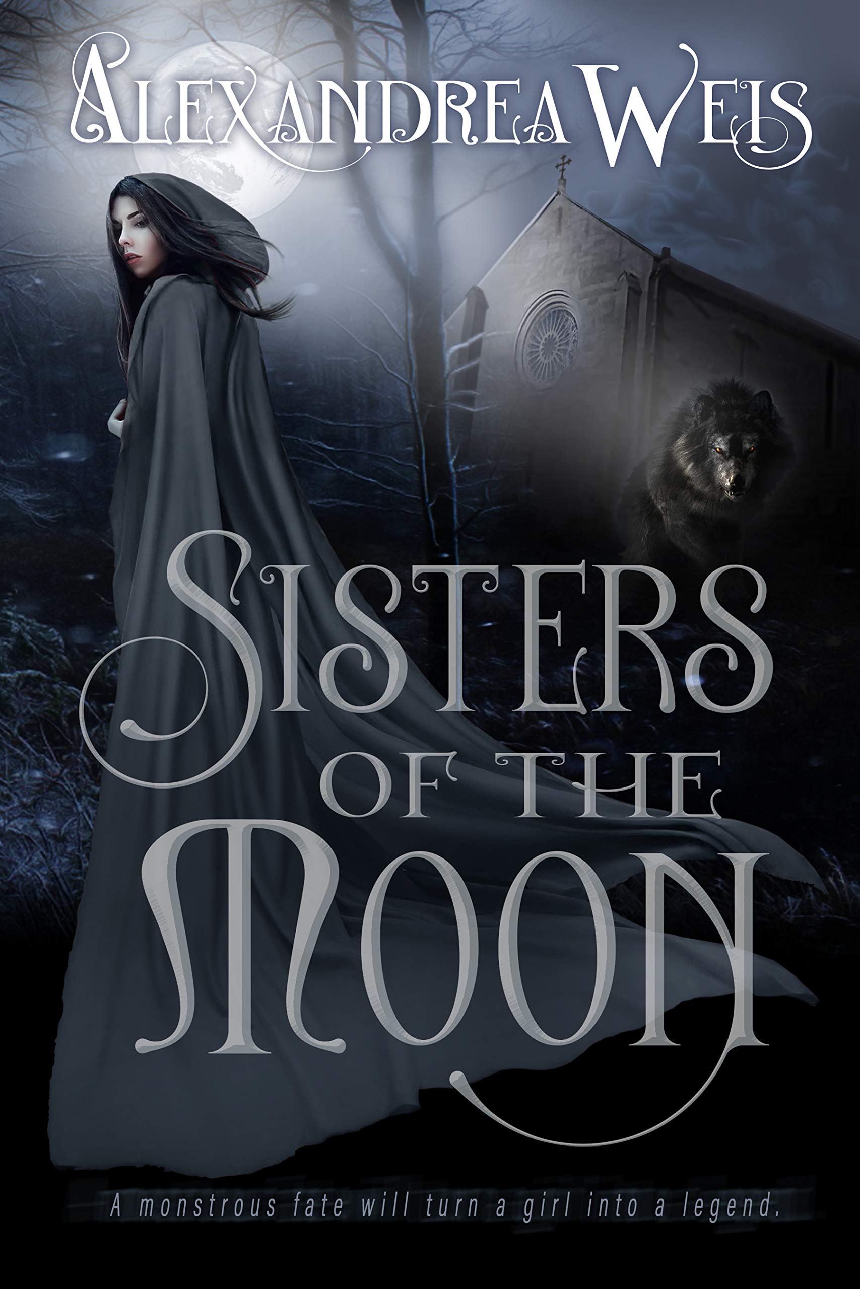 Sisters of the Moon book cover