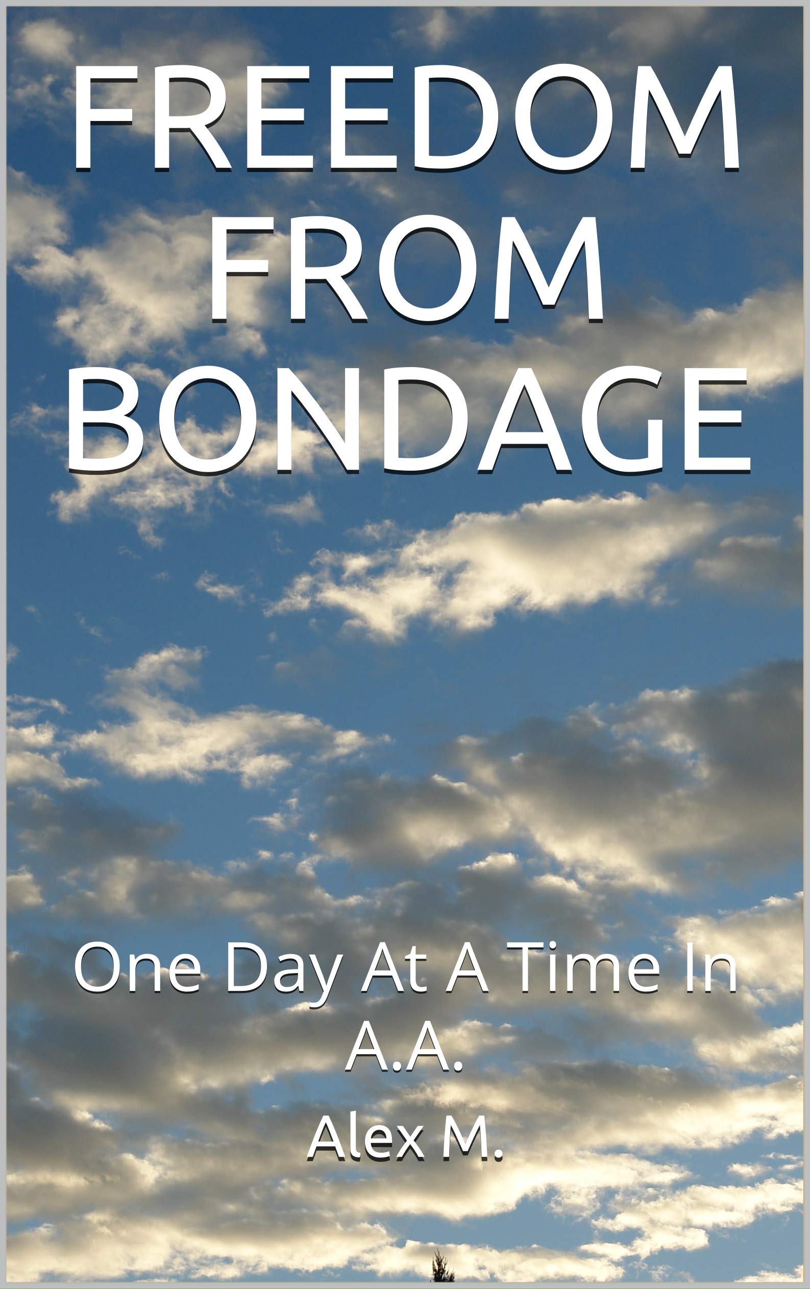 FREEDOM FROM BONDAGE One Day At A Time In A.A.