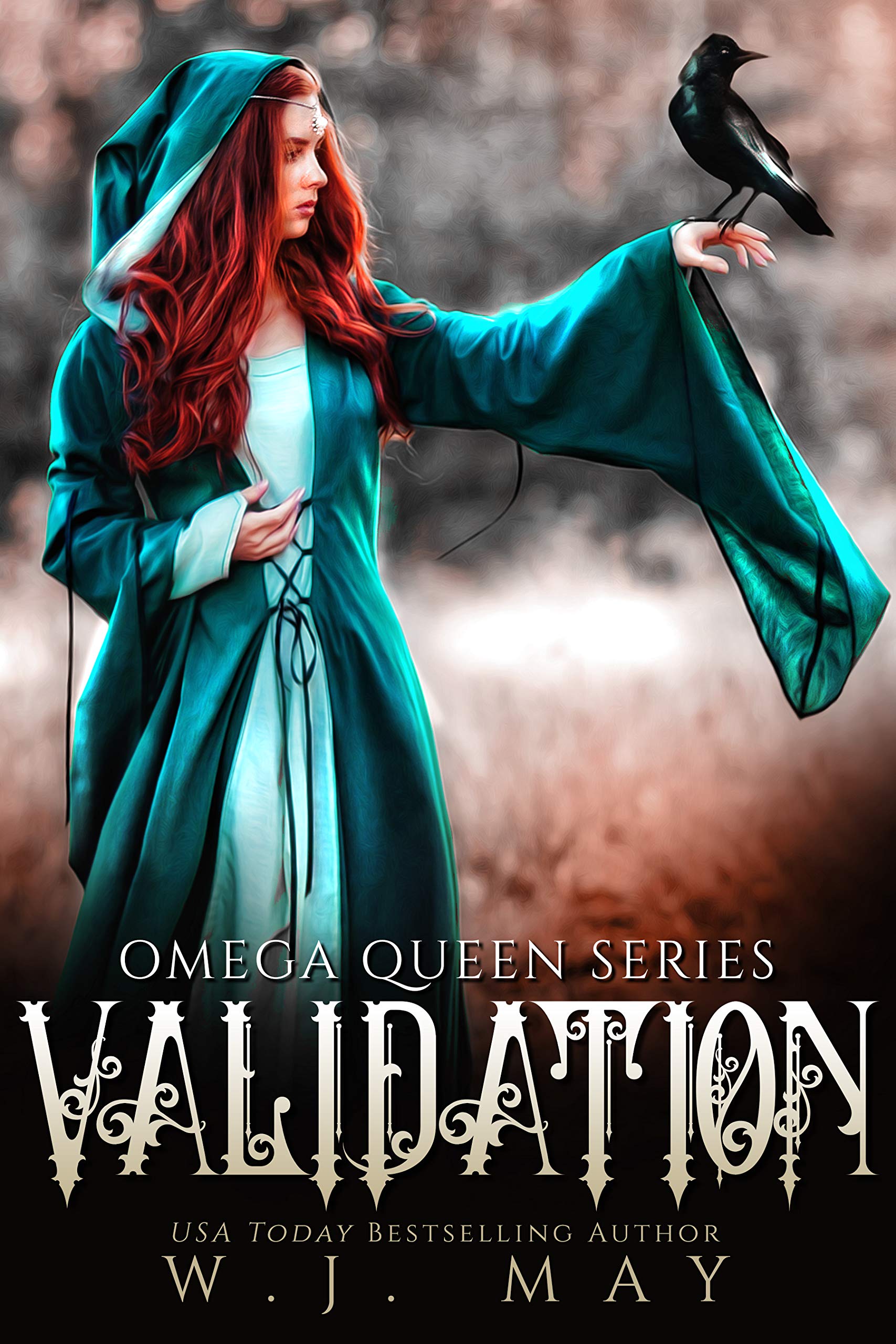 Validation book cover