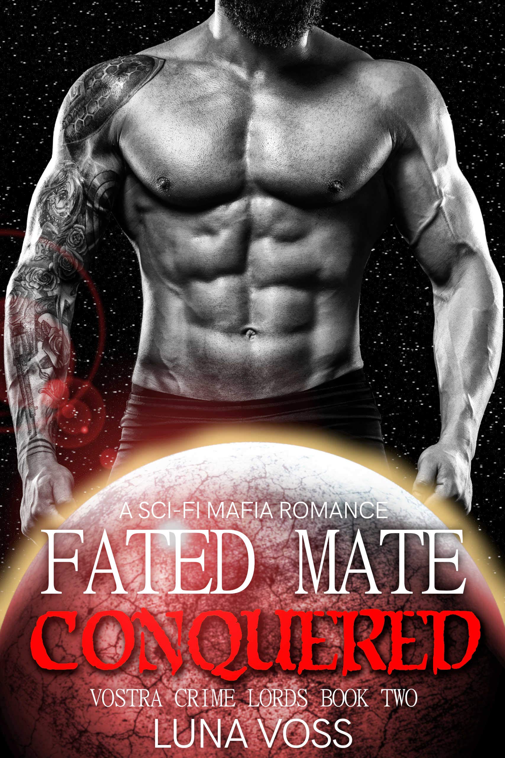 Vostra Crime Lords book cover 2