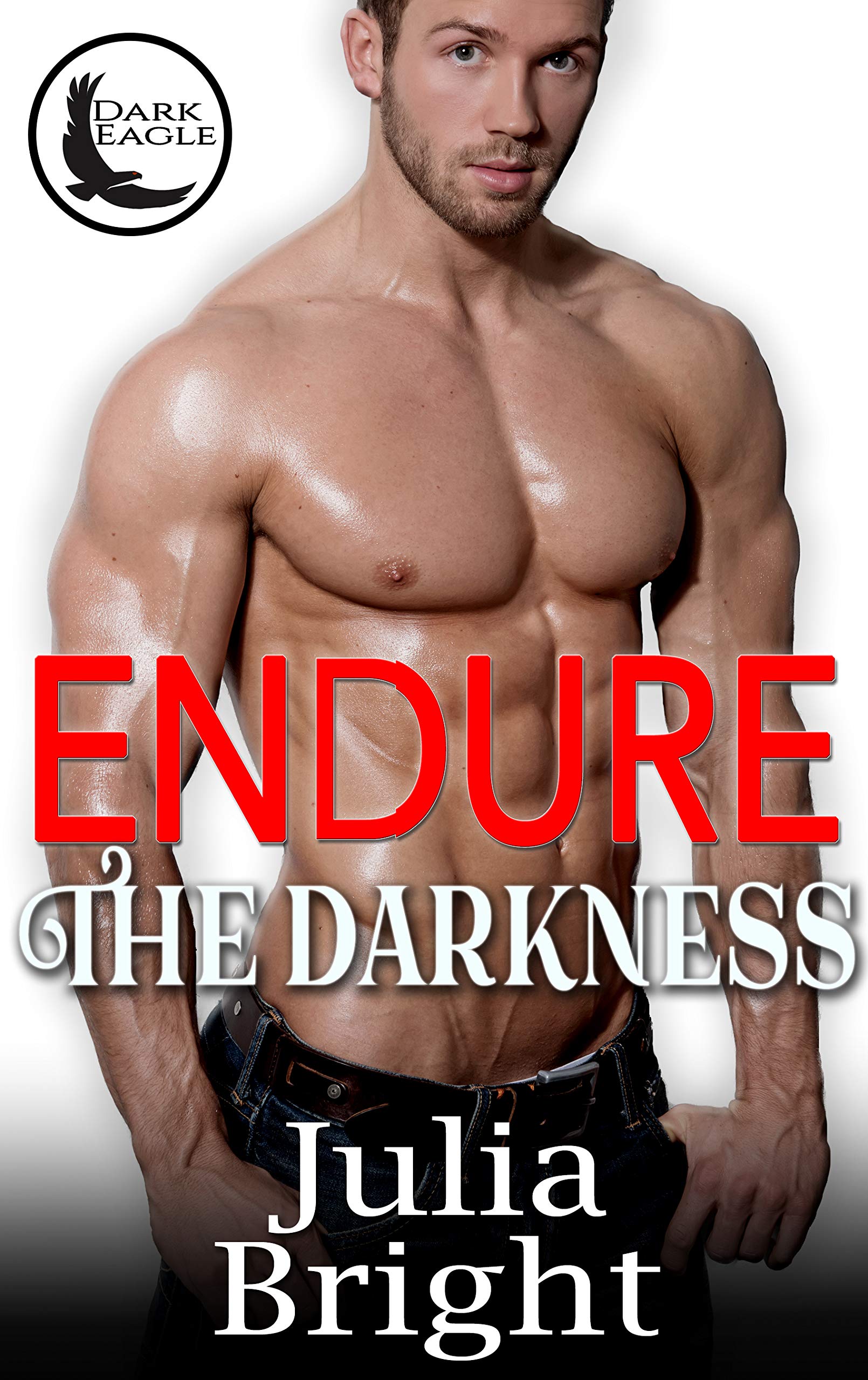 Endure the Darkness book cover