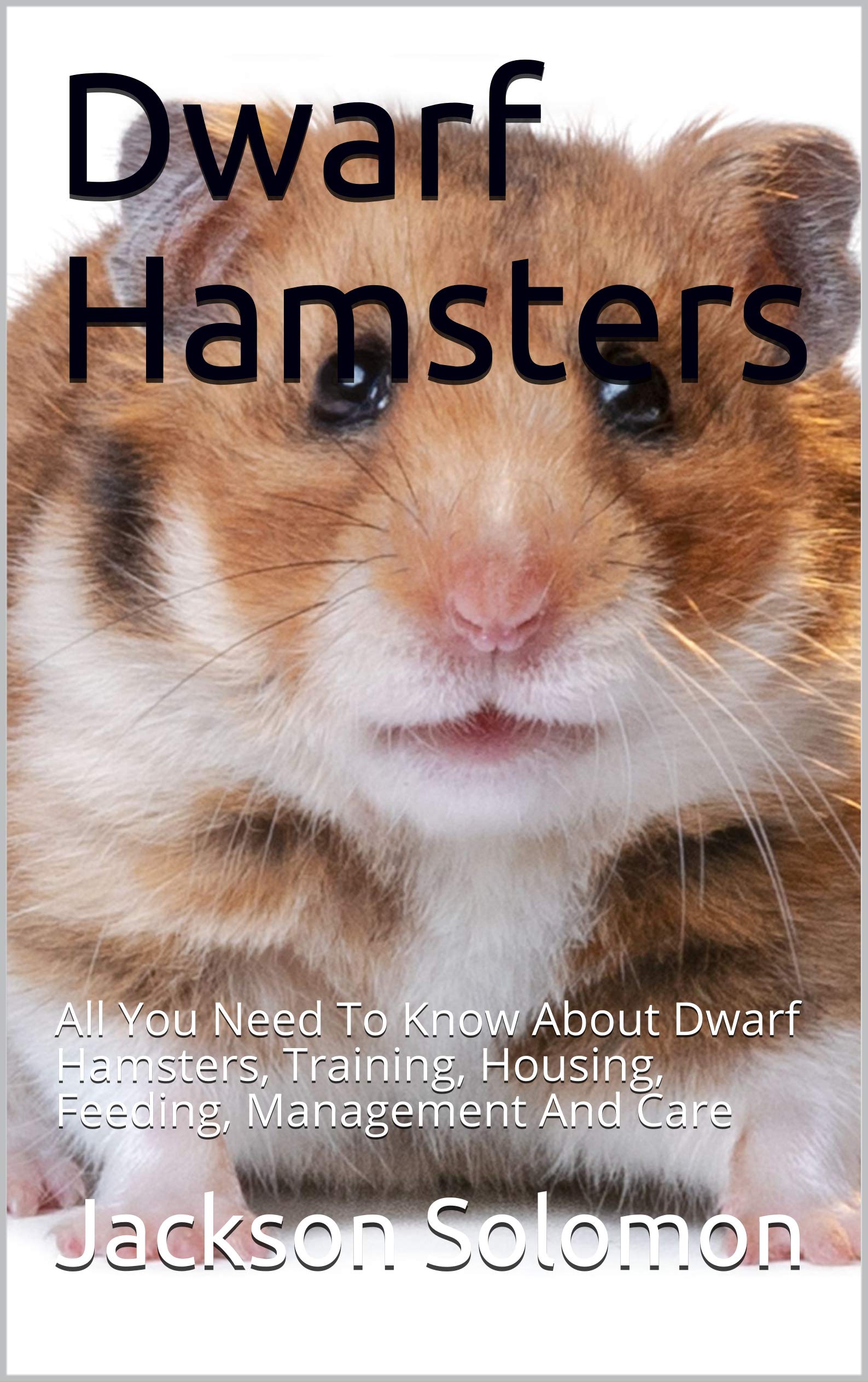 Dwarf Hamsters All You Need To Know About Dwarf Hamsters, Training, Housing, Feeding