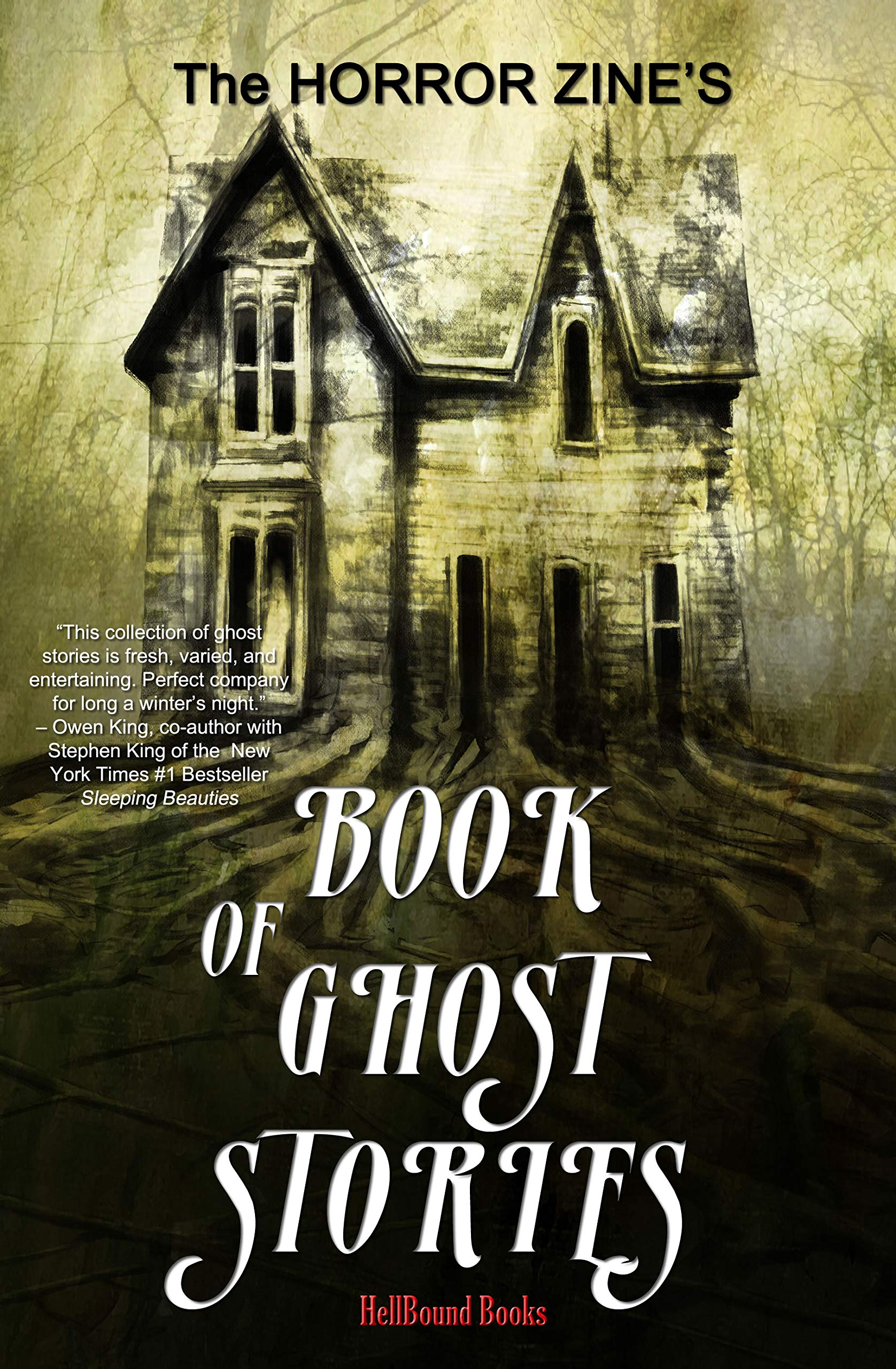 The Horror Zine's Book of Ghost Stories book cover