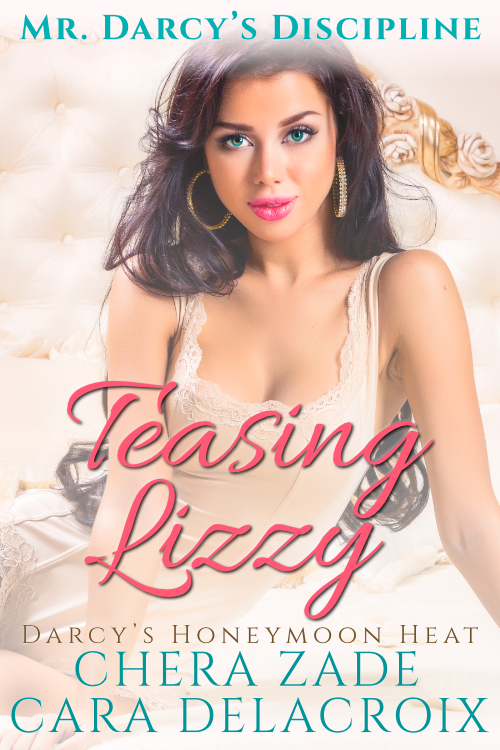 Mr. Darcy's Discipline book cover