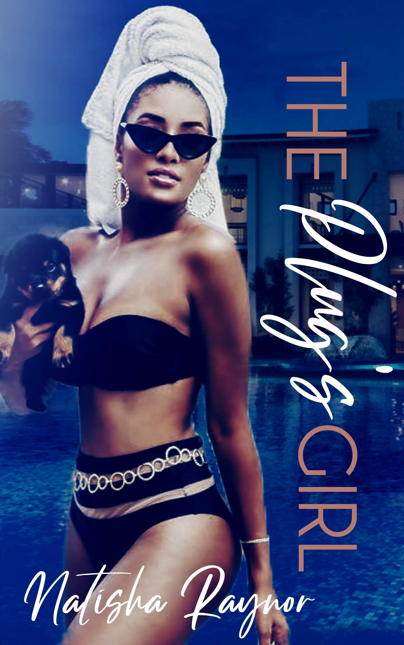 The Plug's Girl book cover