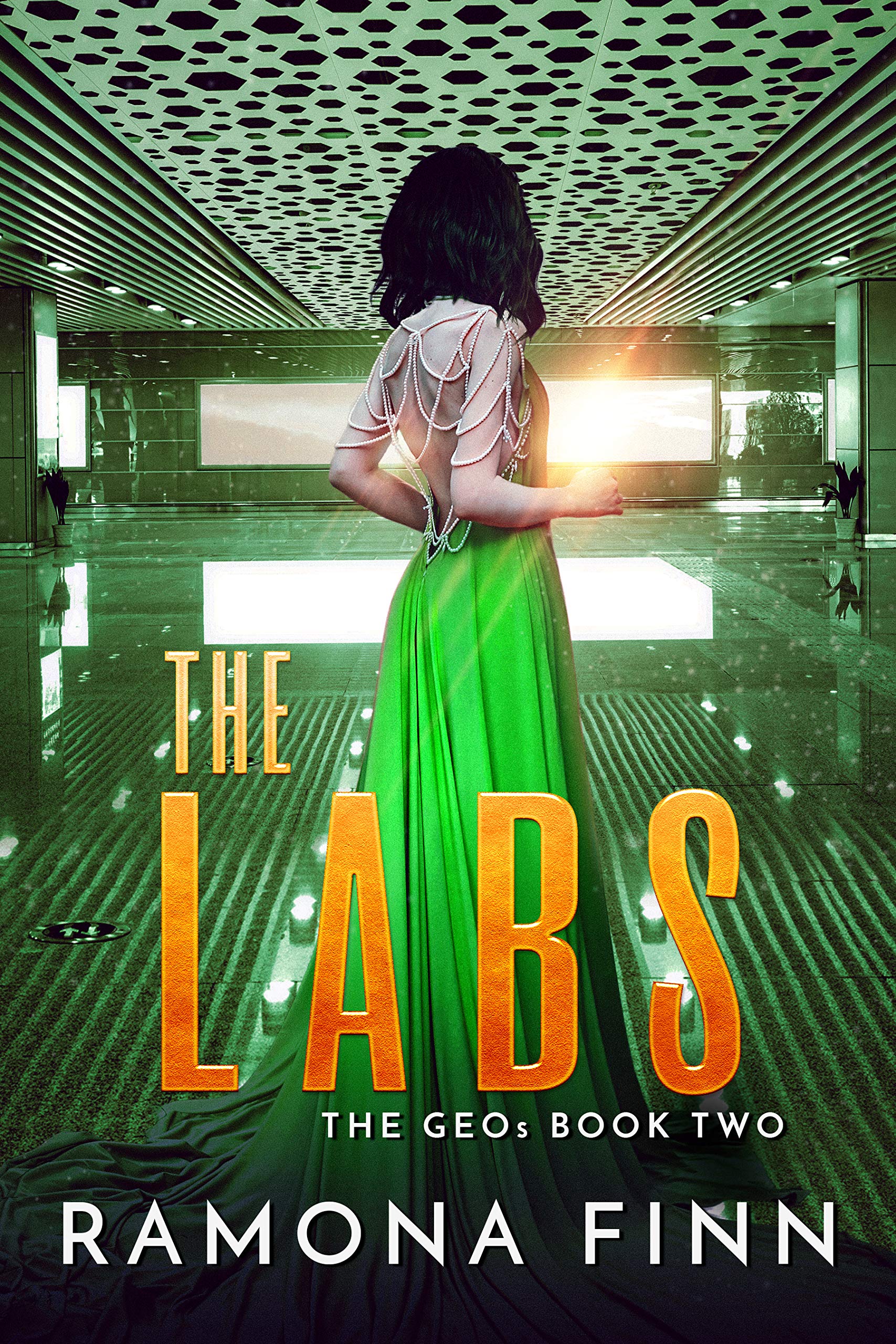 The Labs: A YA Dystopian Adventure
