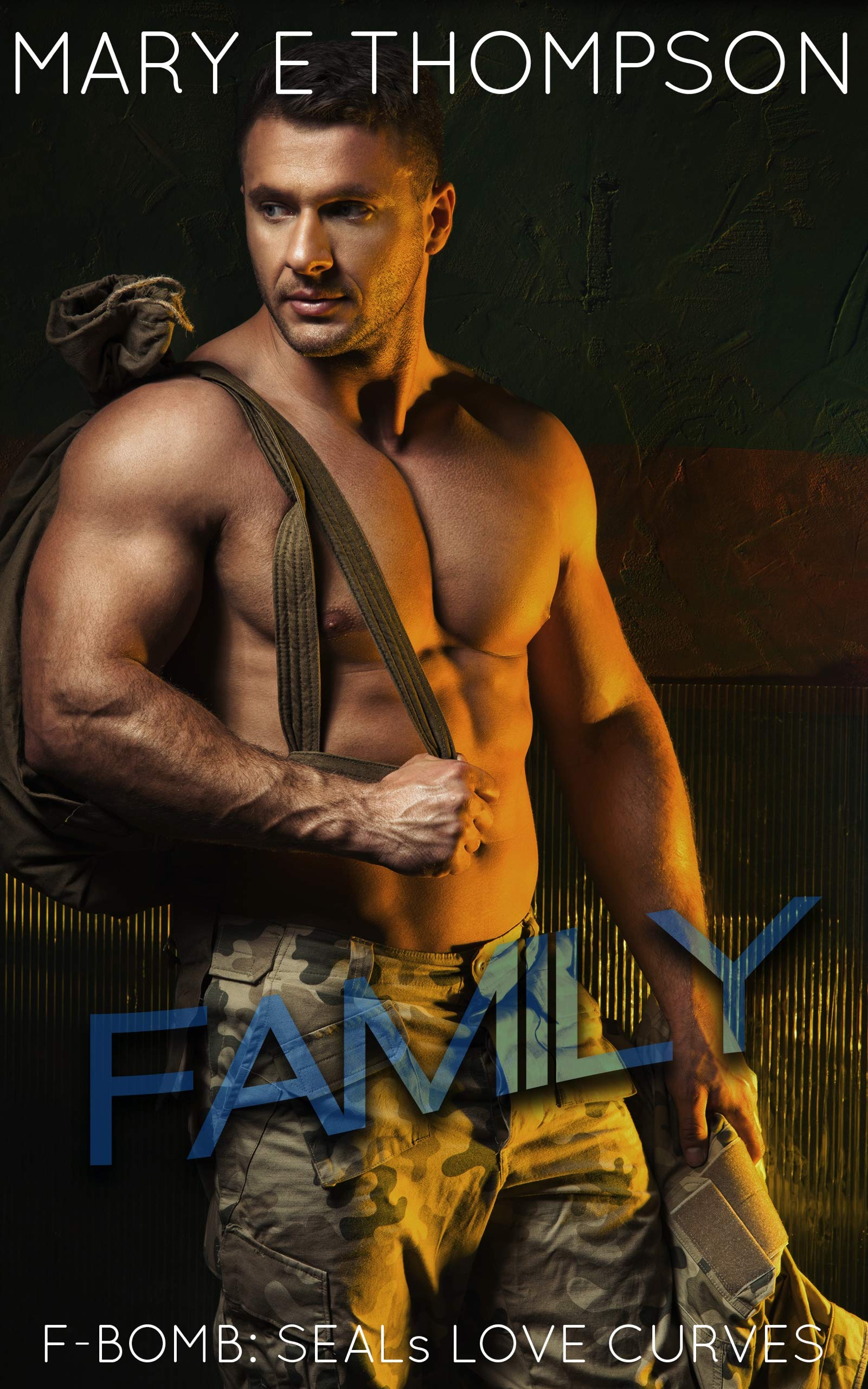 Family book cover