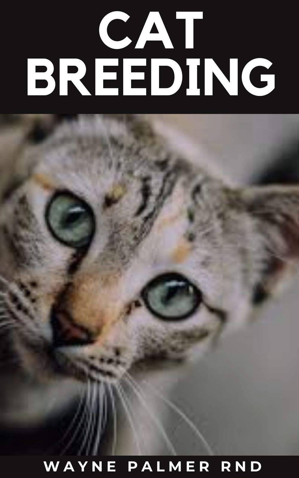 CAT BREEDING Guide To Create Awareness On Cat's Breeds, Care And