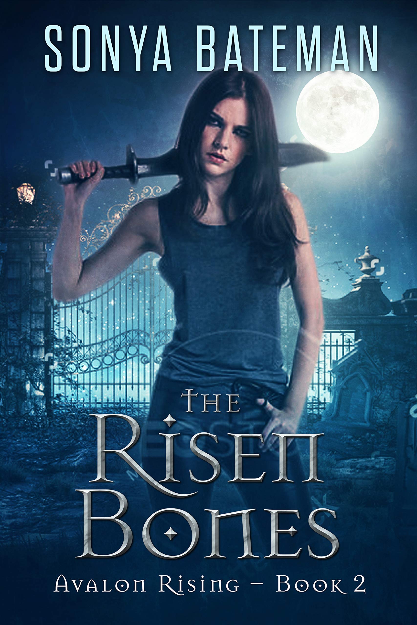 Avalon Rising book cover 2