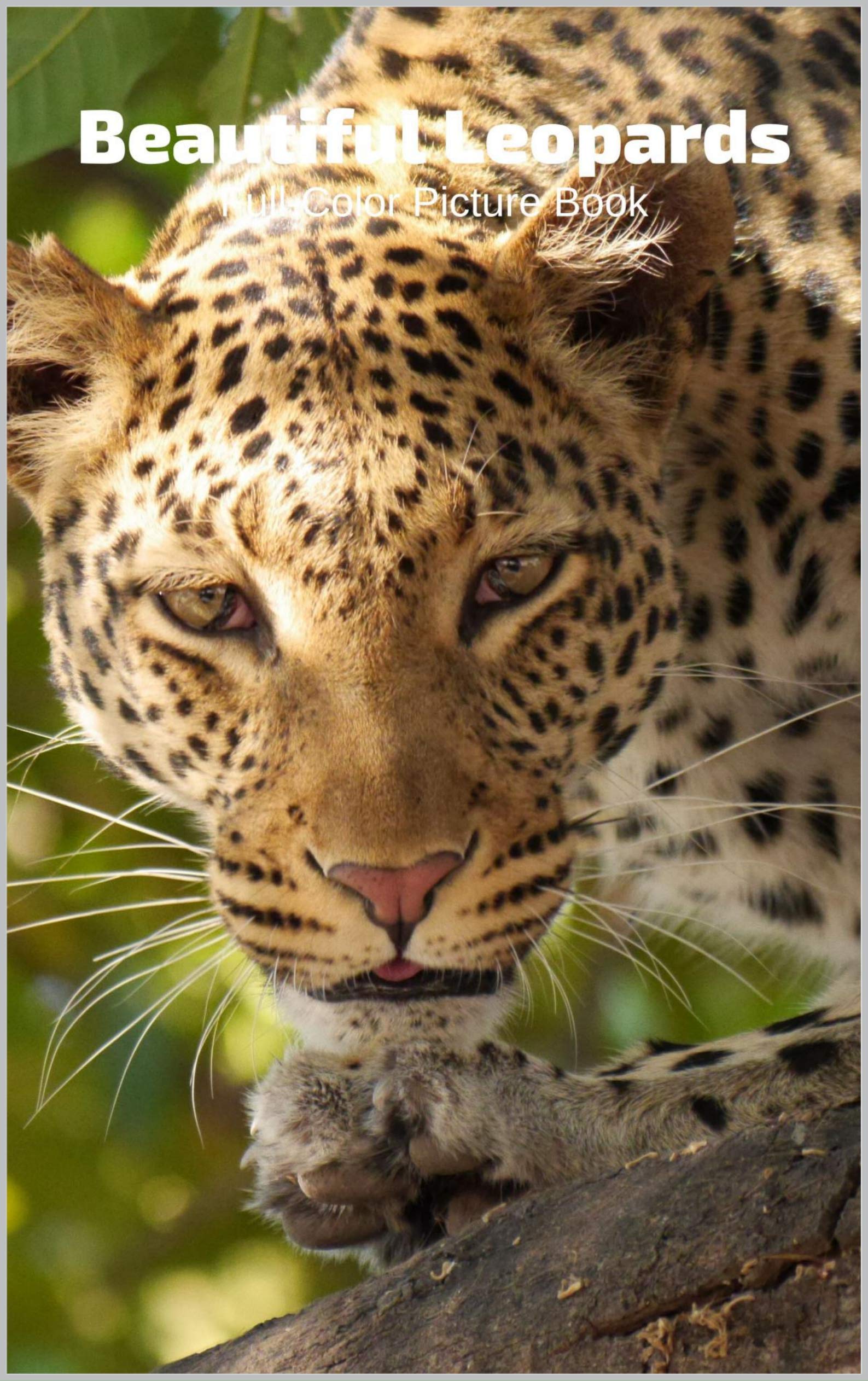 Beautiful Leopards Full-Color Picture Book: Big Cats Picture Book for ...