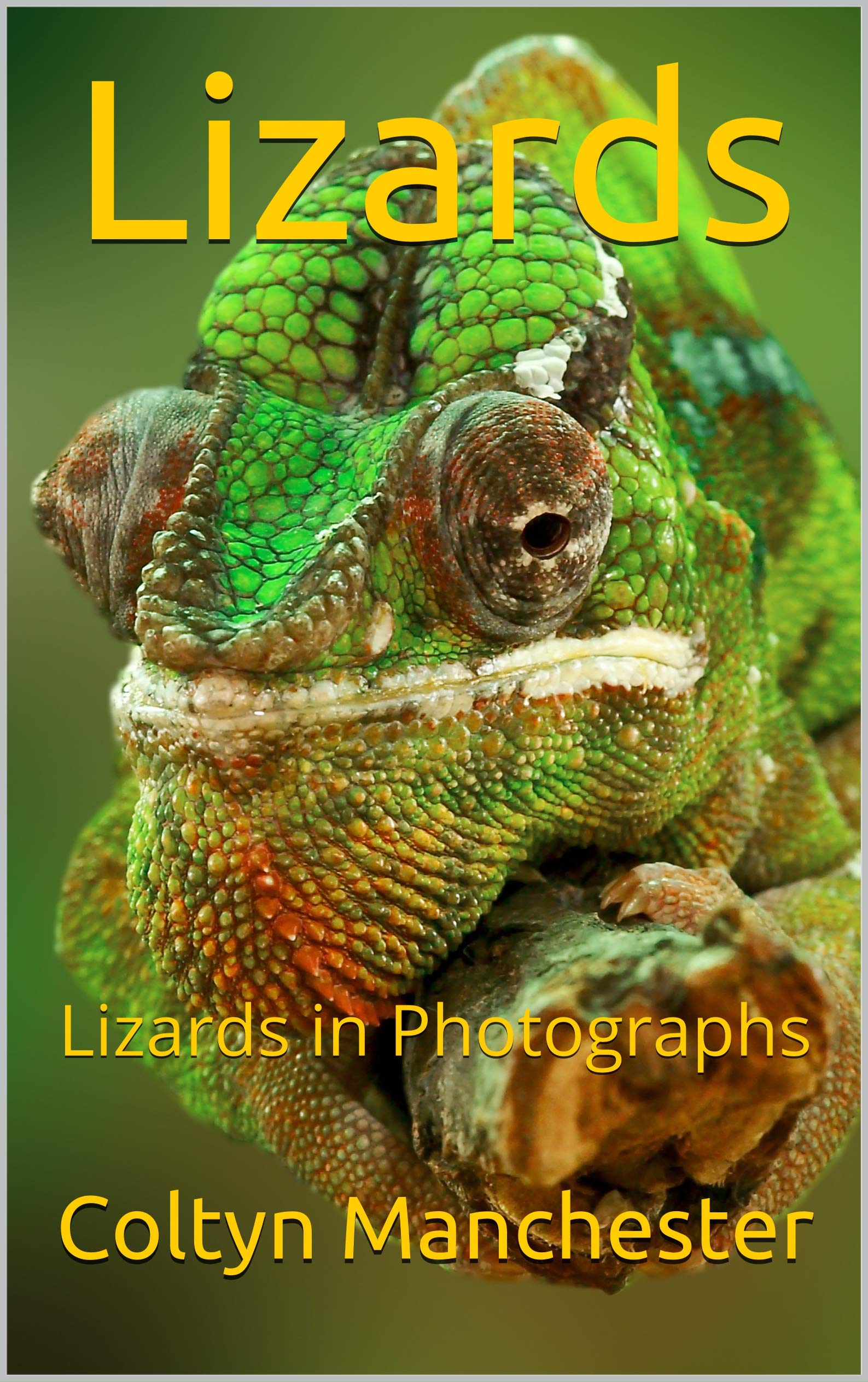 Lizards Lizards in Photographs by Coltyn Manchester Goodreads