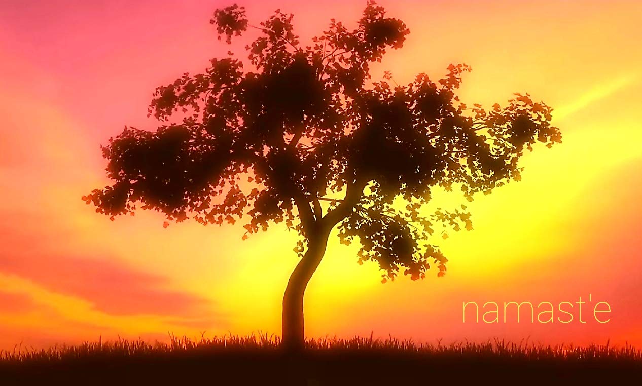 INFUSION with sadhguru: 'How To Manifest What You Really Want'
