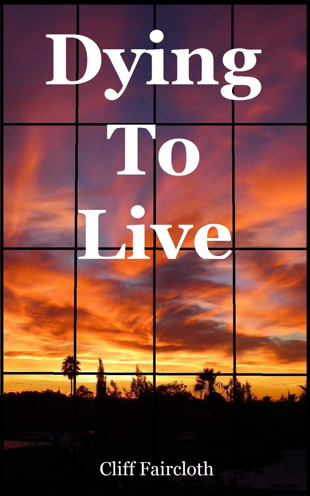 Dying To Live by Cliff Faircloth Goodreads