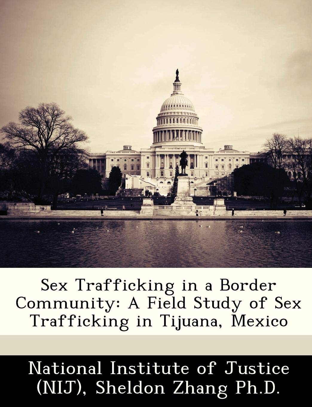 Sex Trafficking in a Border Community A Field Study of Sex Trafficking