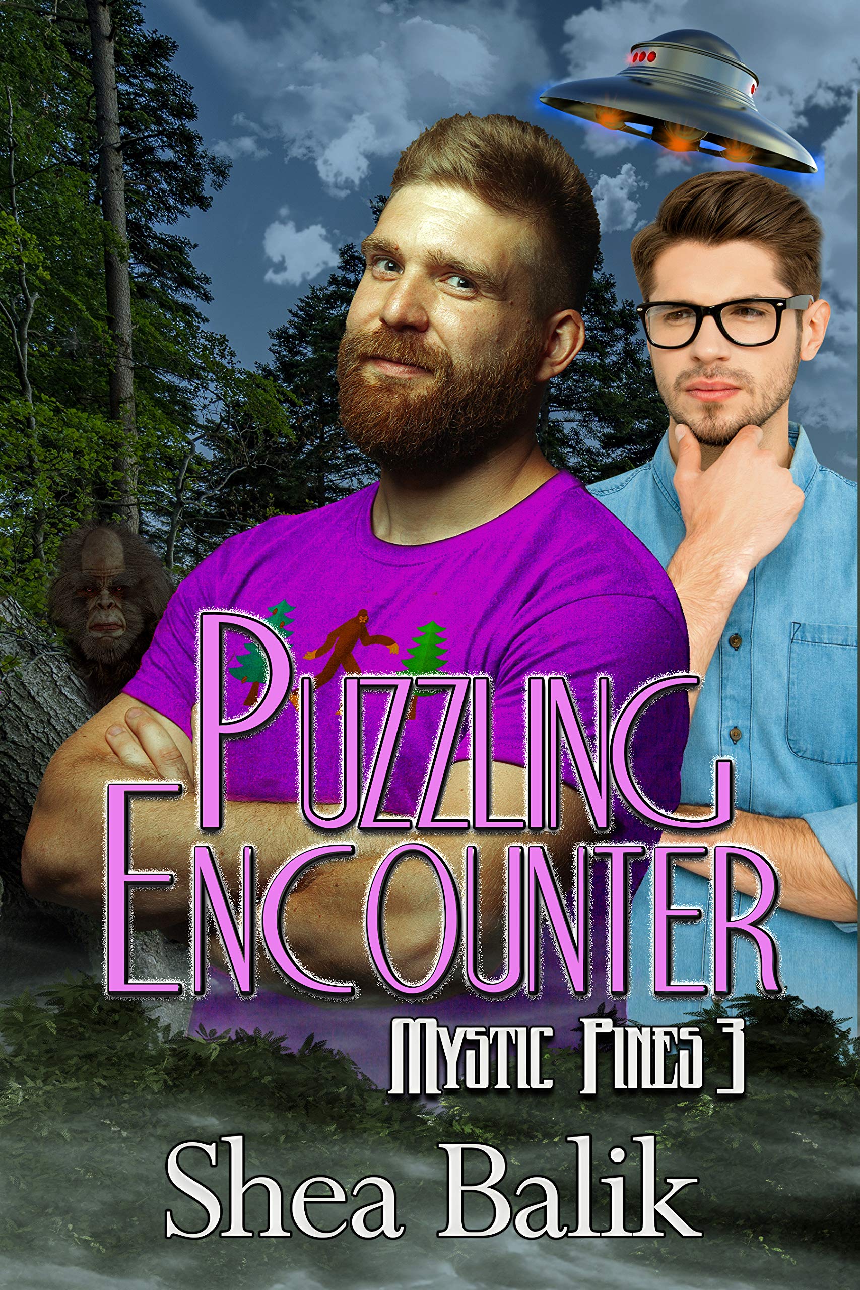 Puzzling Encounters book cover