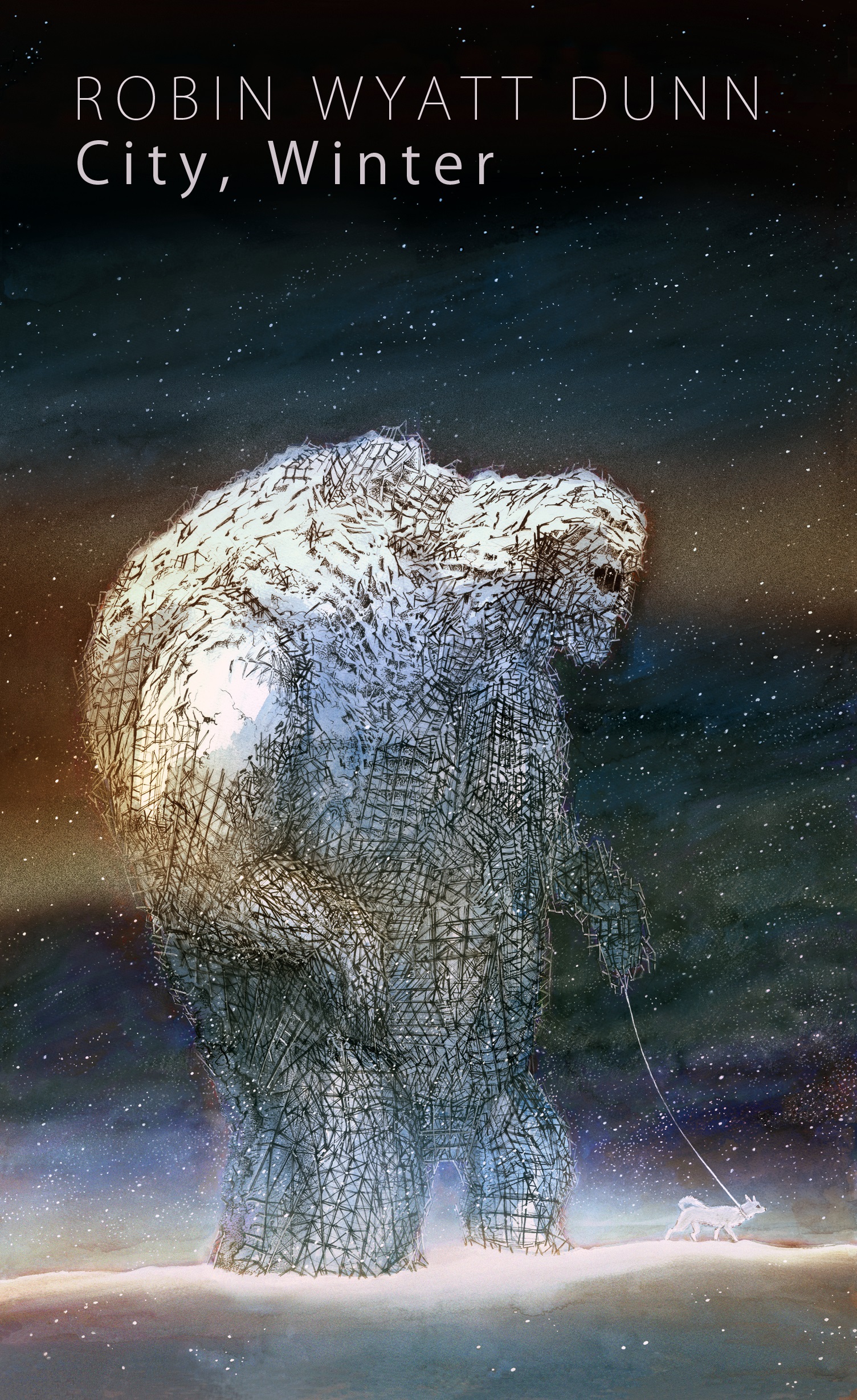 City, Winter book cover