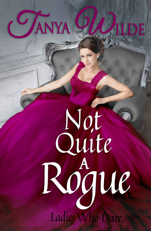 Not Quite a Rogue book cover