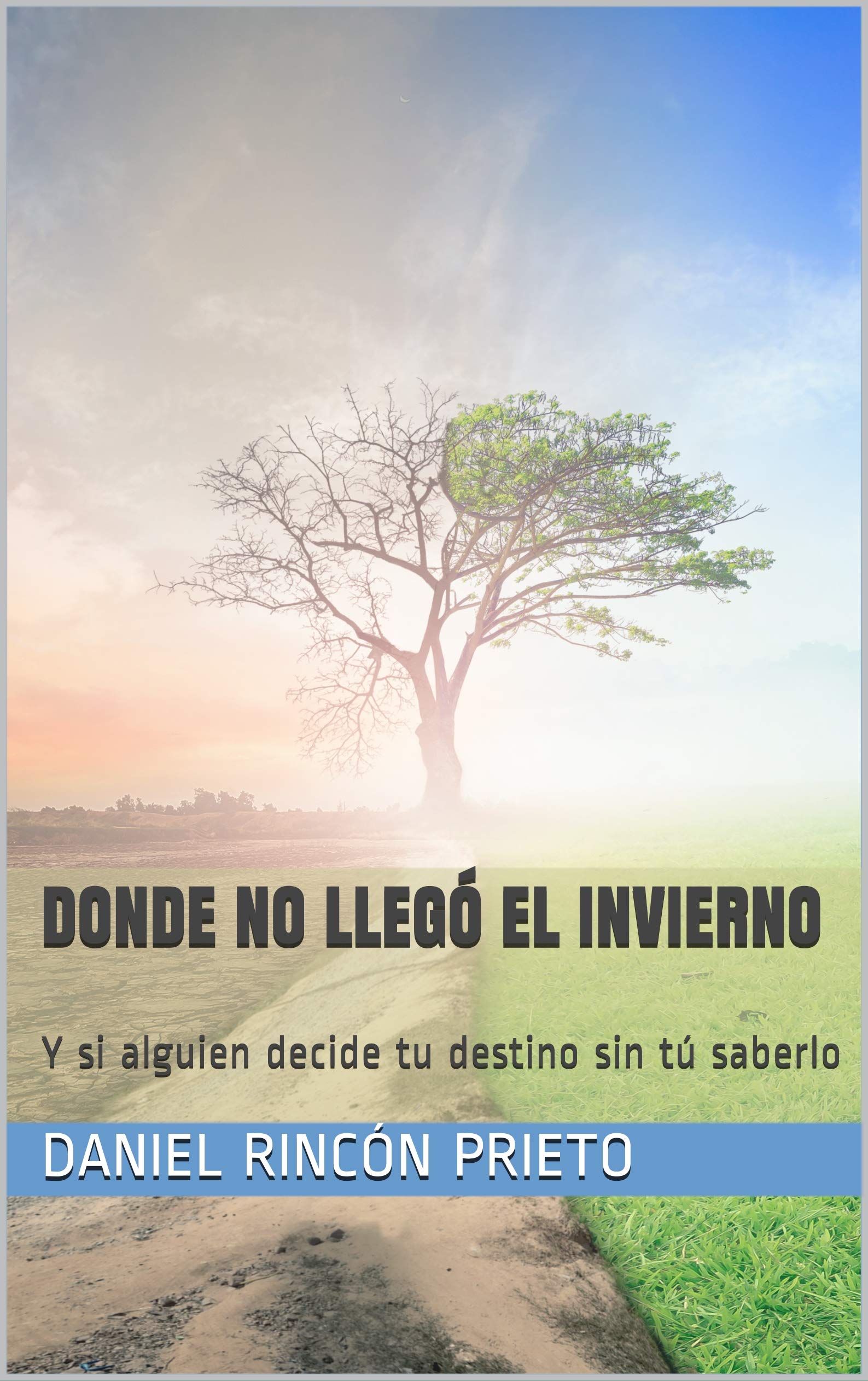 Donde no llegó el invierno: Y si alguien decide tu destino sin tú saberlo