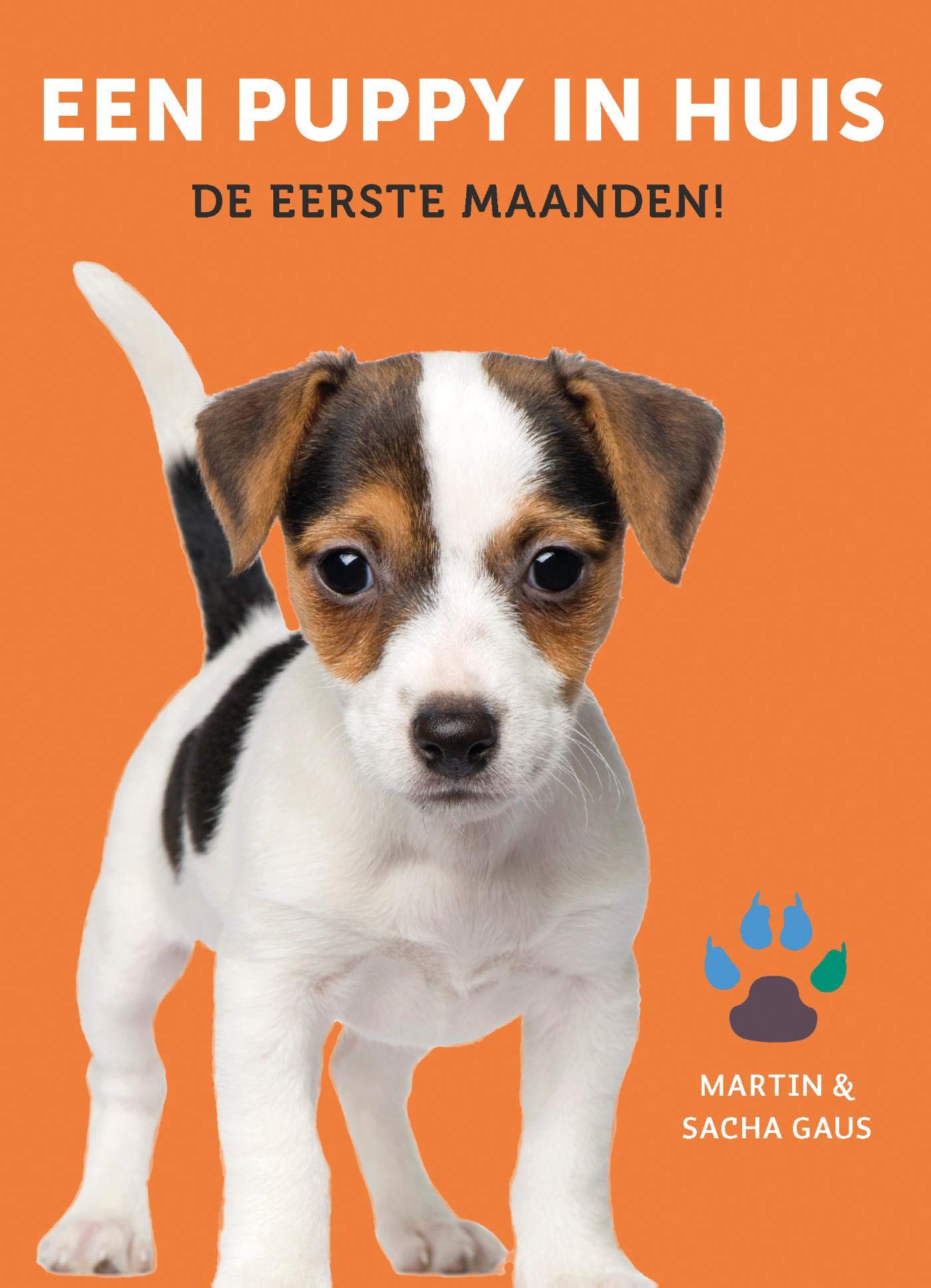 Een puppy in huis: De eerste maanden!