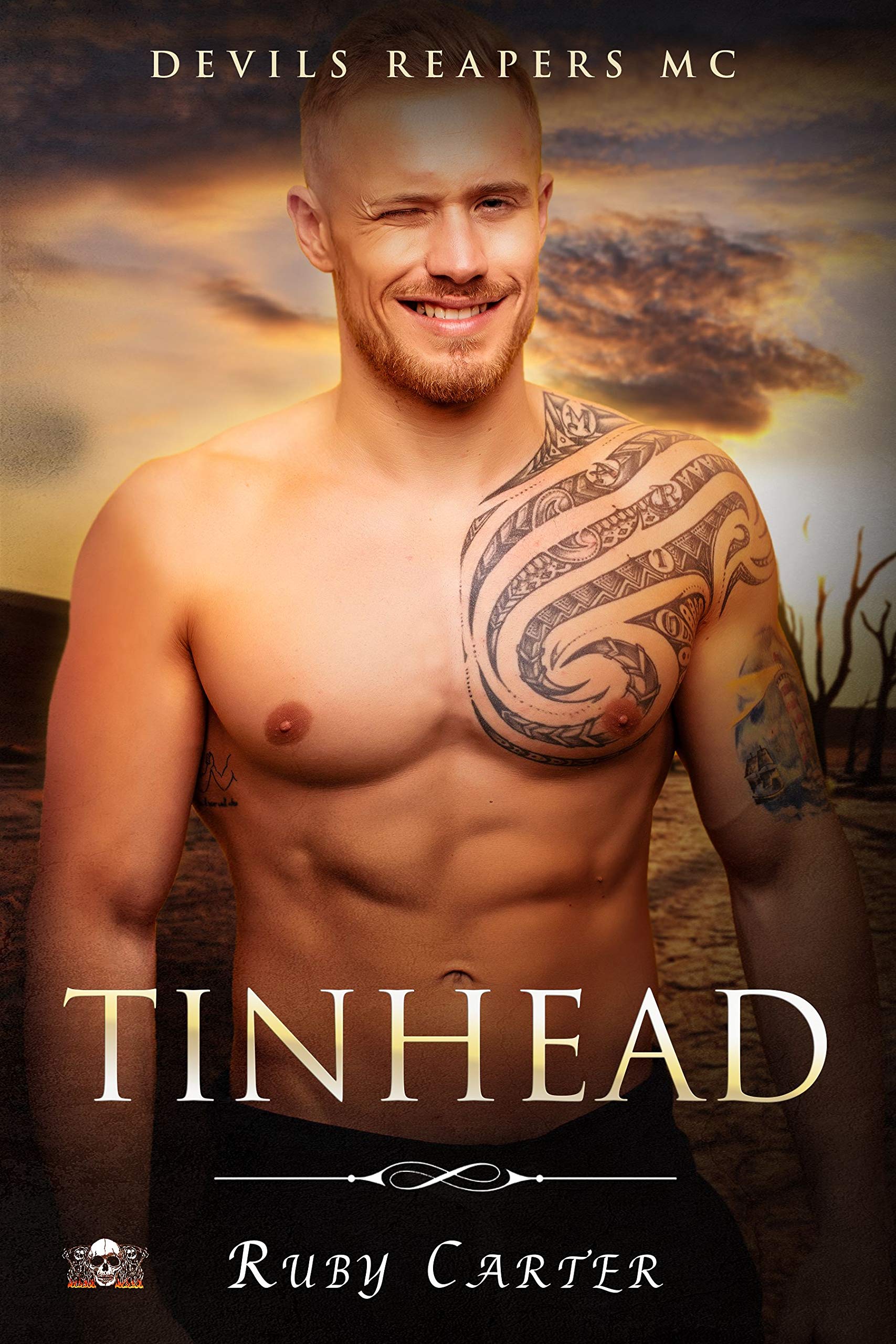 Tinhead book cover