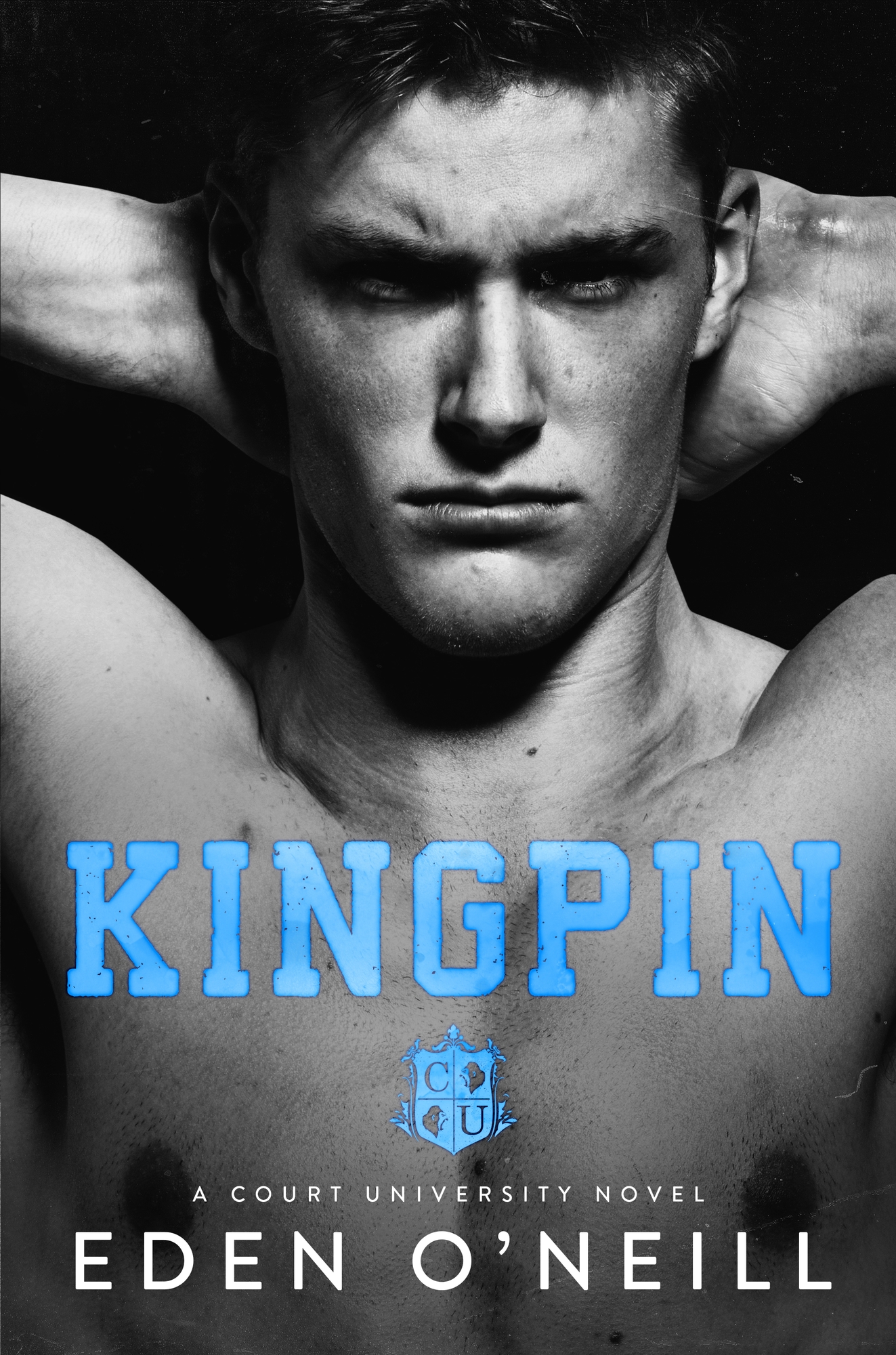 Court University book cover 2