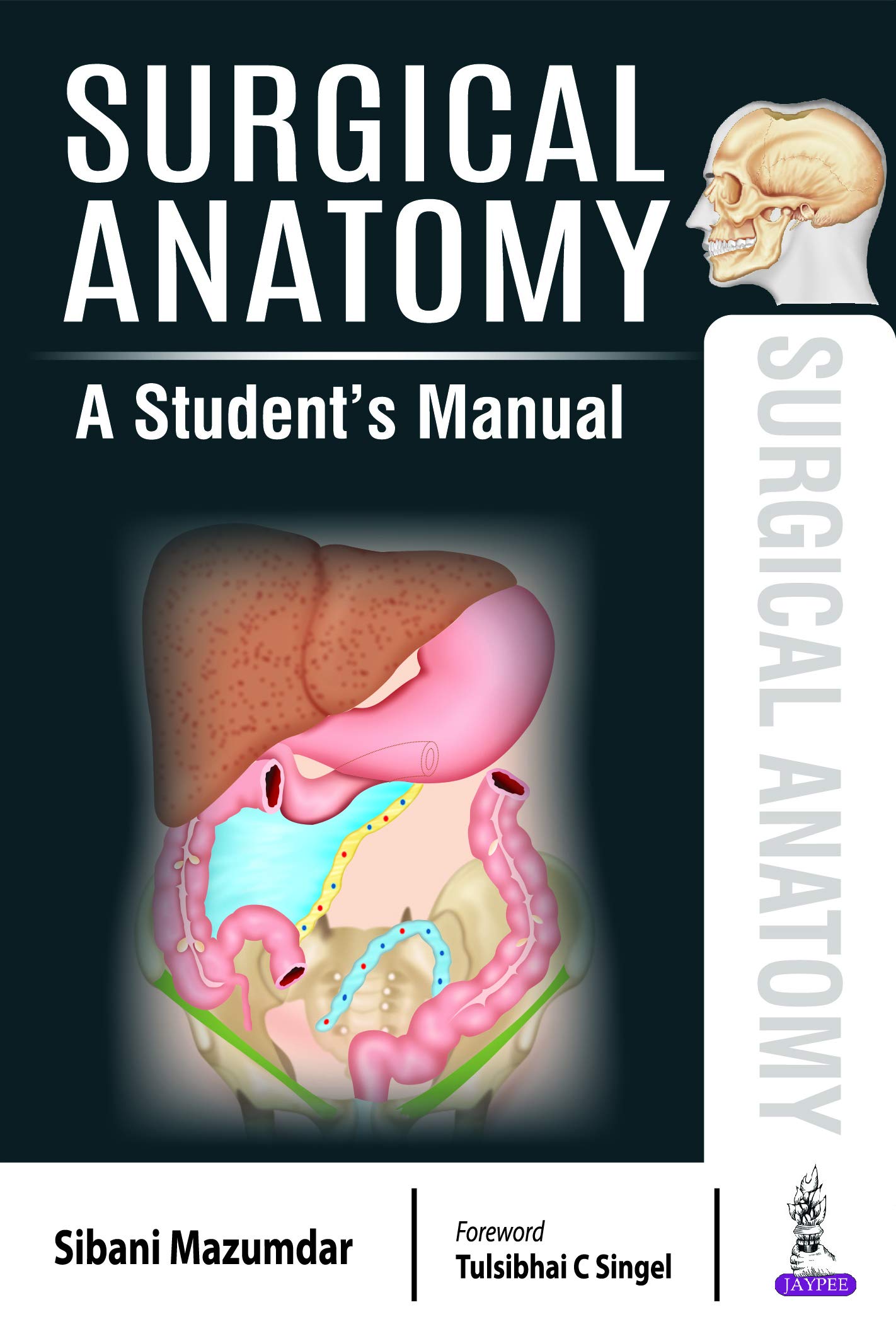 Surgical Anatomy: A Student's Manual