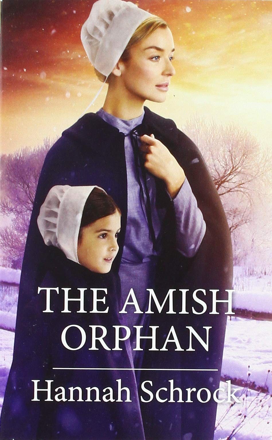 The Amish Orphan book cover